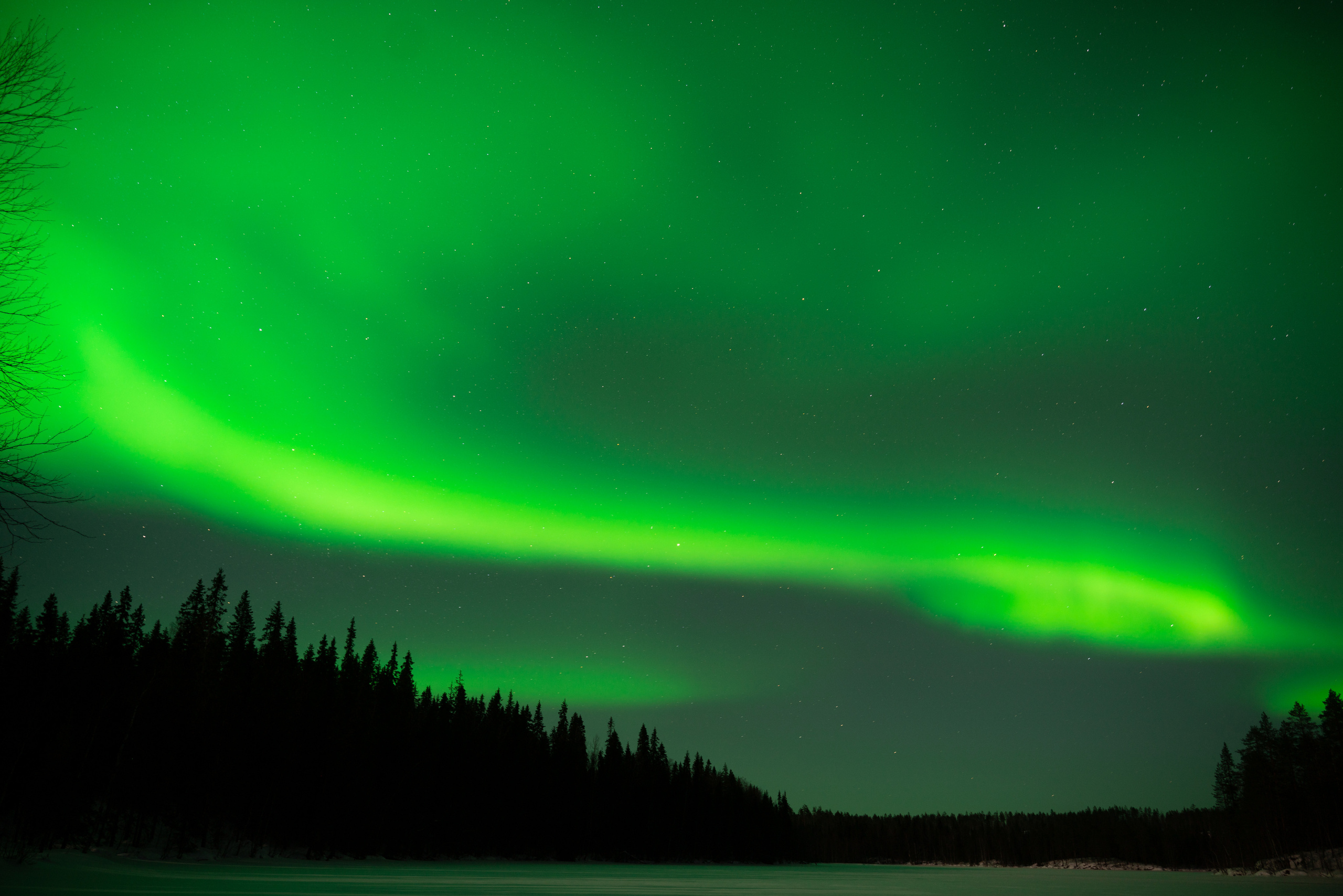 Фотограф в Санкт-Петербурге