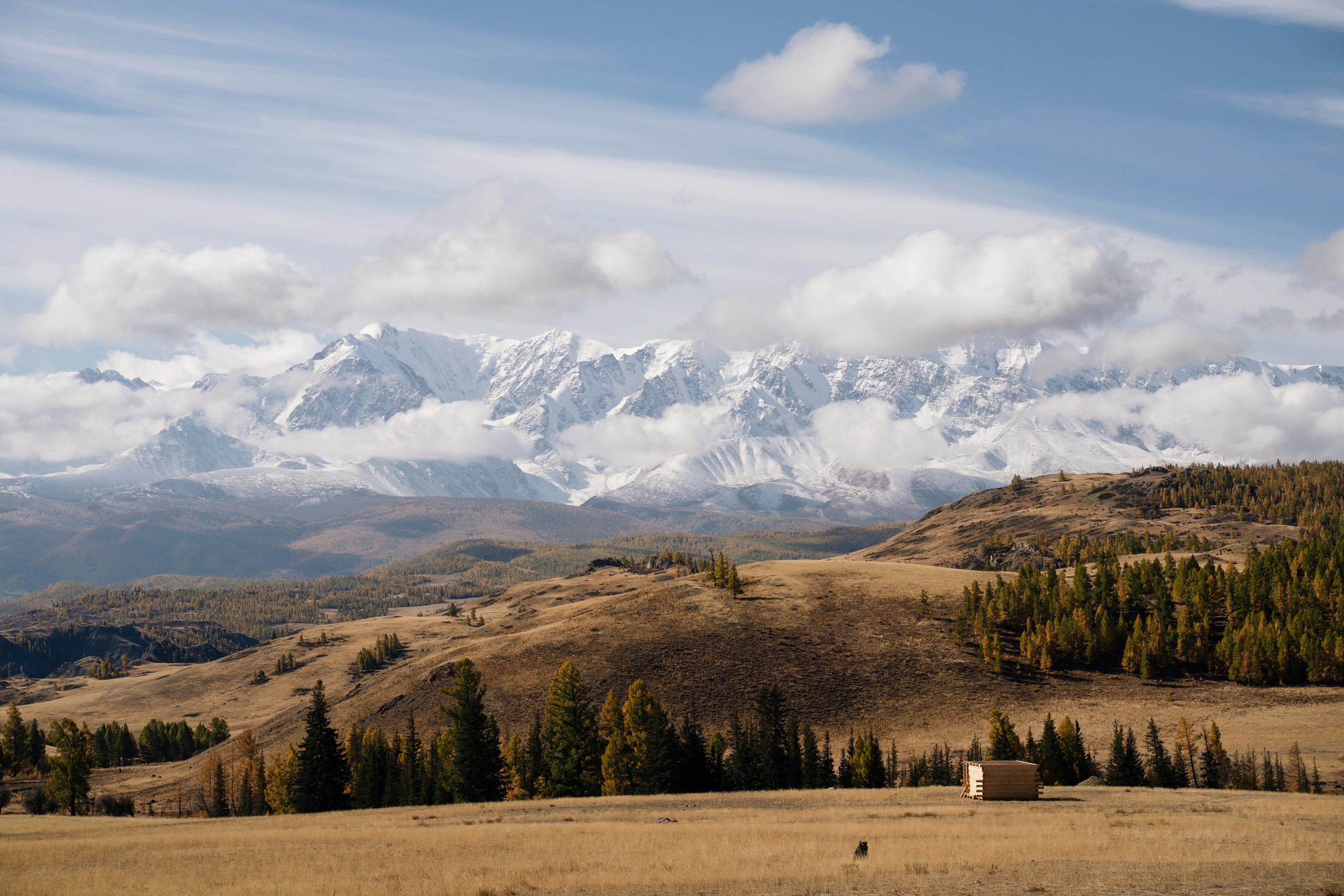 Фотограф в Санкт-Петербурге
