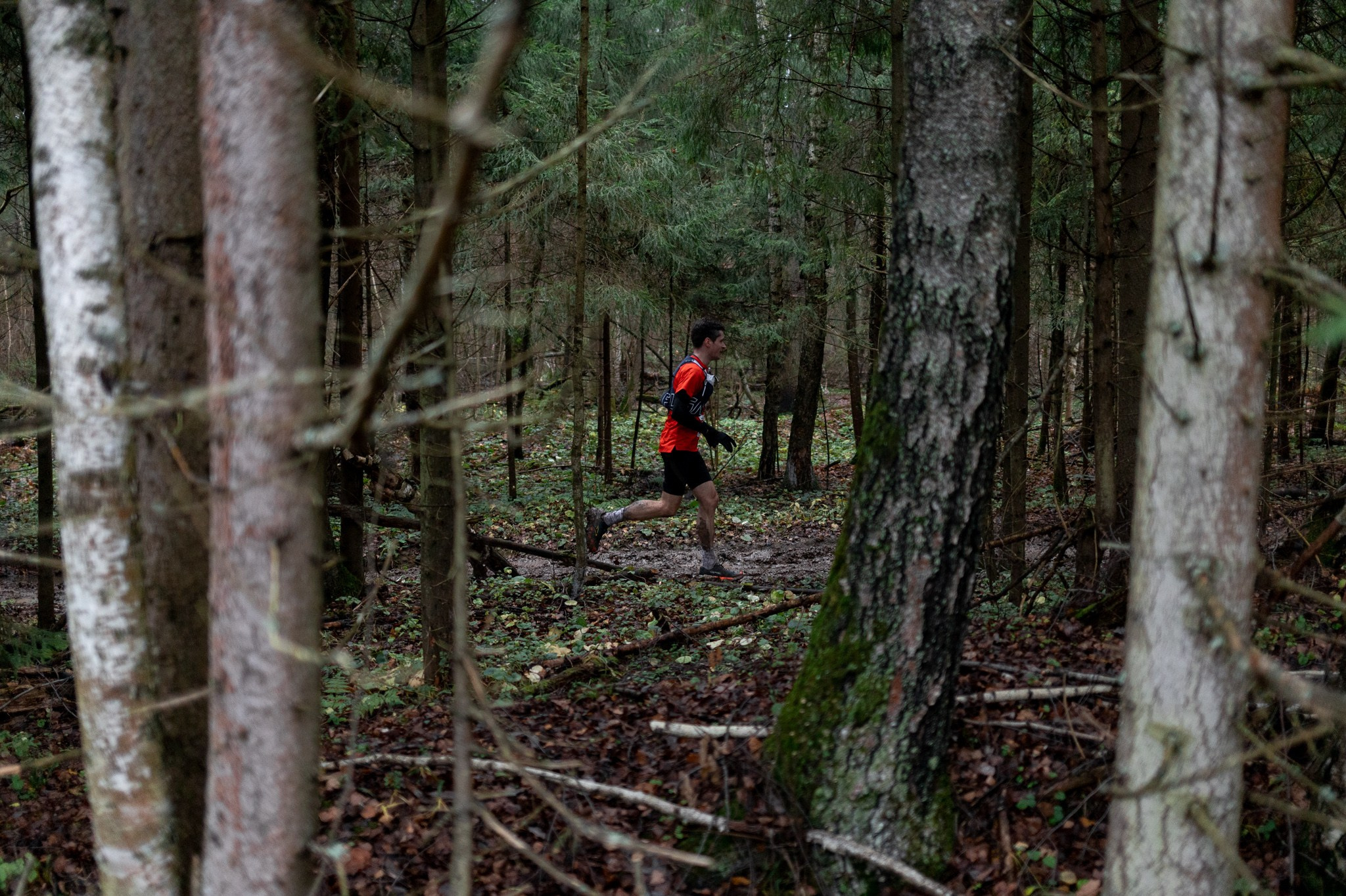 Трейл City Trail X-Race. Павел Шарапов | Фотограф | Москва