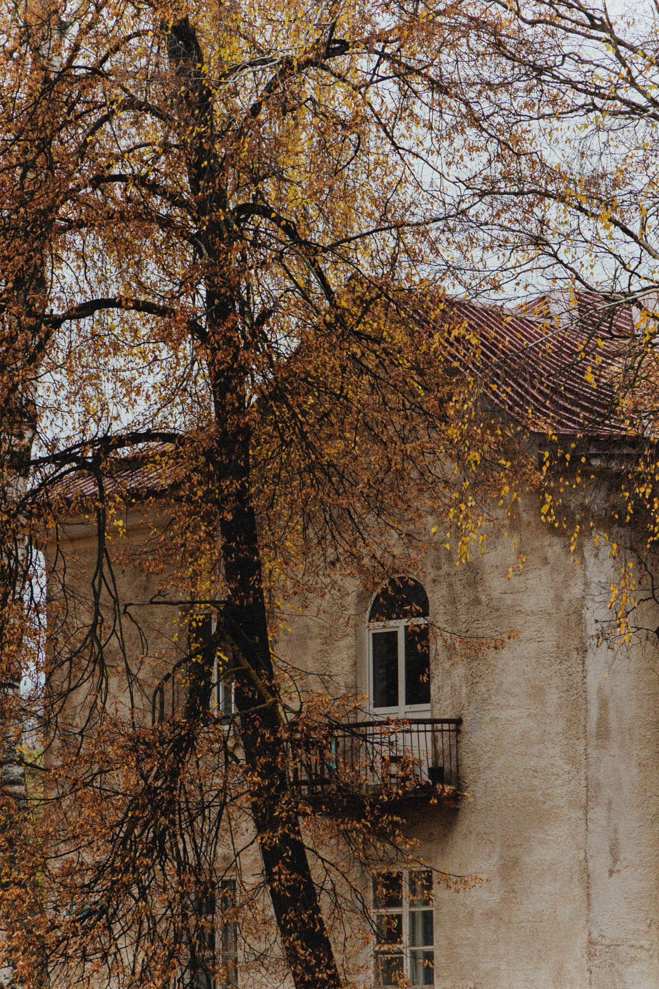 О том, как мы исследовали земли Залесские. Главная