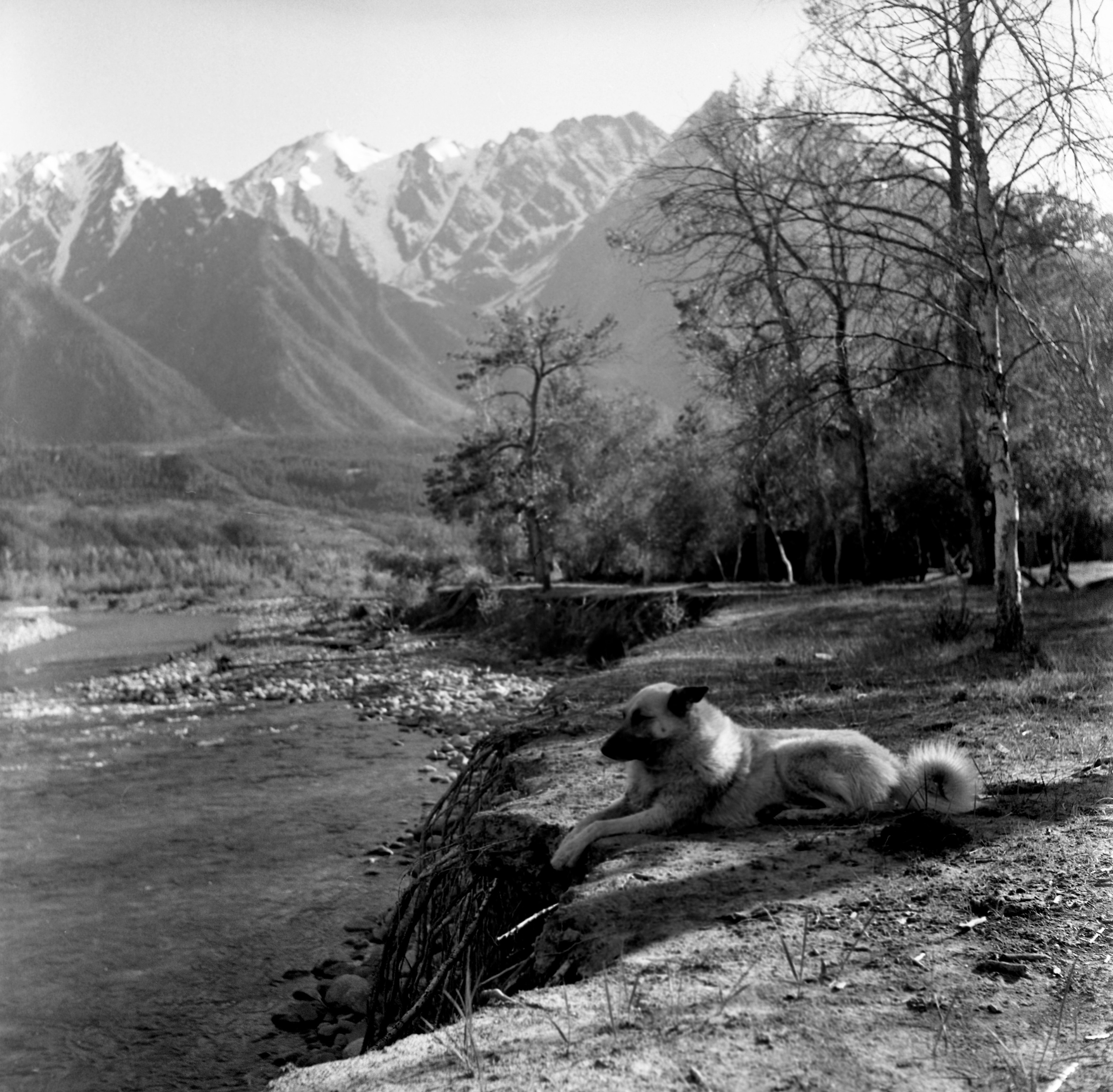 Алтай, Россия. Elena Nikitina. Photo Artist. Film photography. Prints