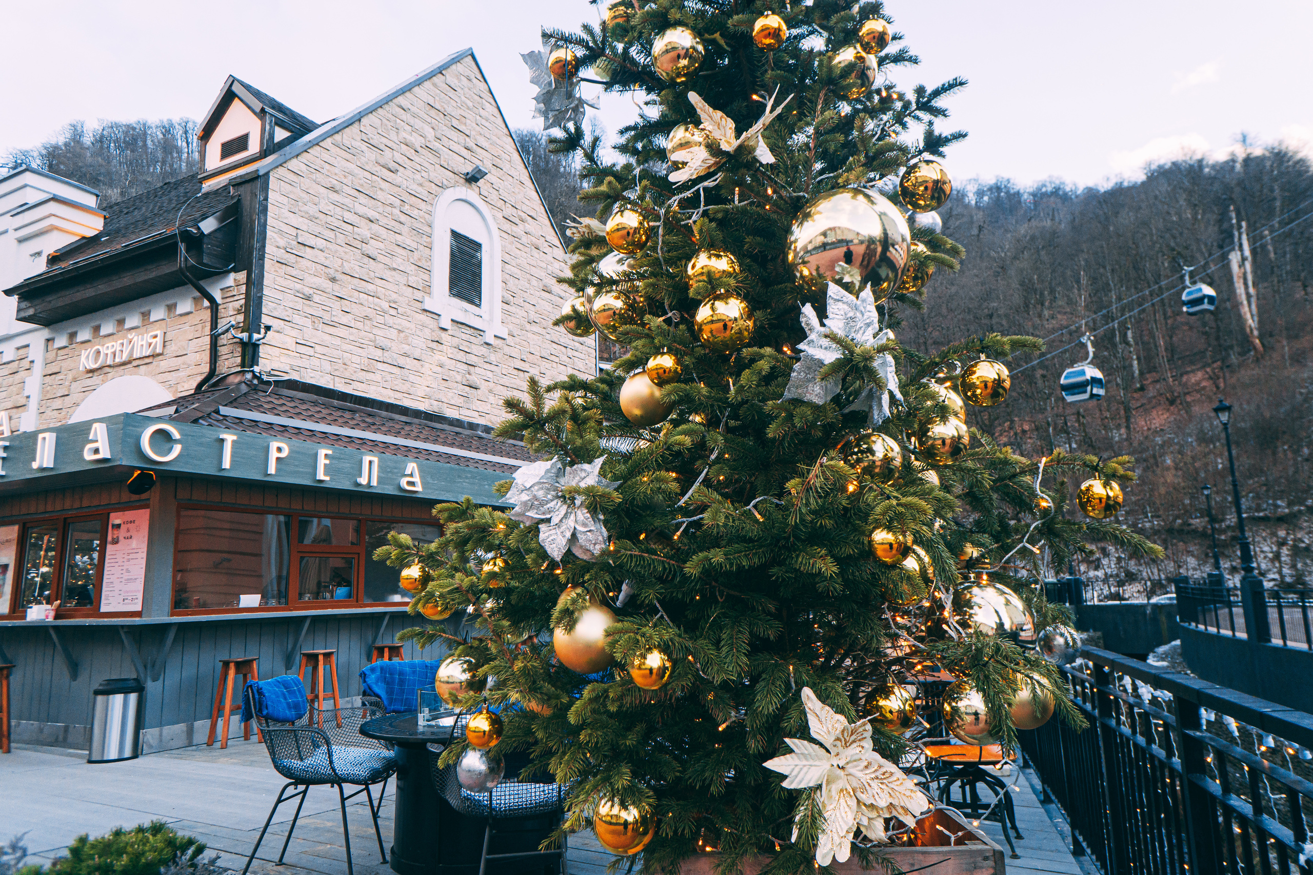 Зима в Сочи. Наталия Баранова — профессиональный фотограф в СПб и Москве