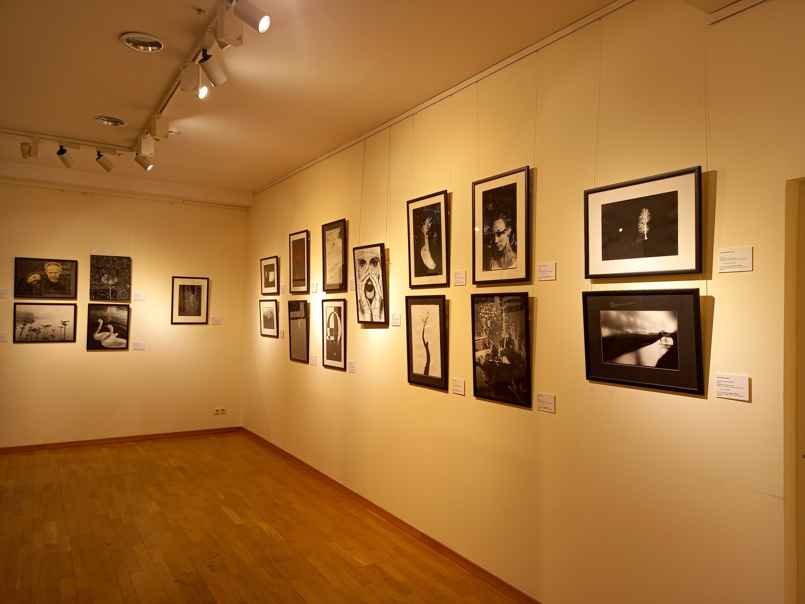 Photo project DIGITAL IN SILVER in the Gallery of Classical Photography, Moscow. Семейный и детский фотограф в Буэнос-Айресе Перевозчикова Анна Fotógrafa de familia y niños en Buenos Aires Perevozchikova Anna