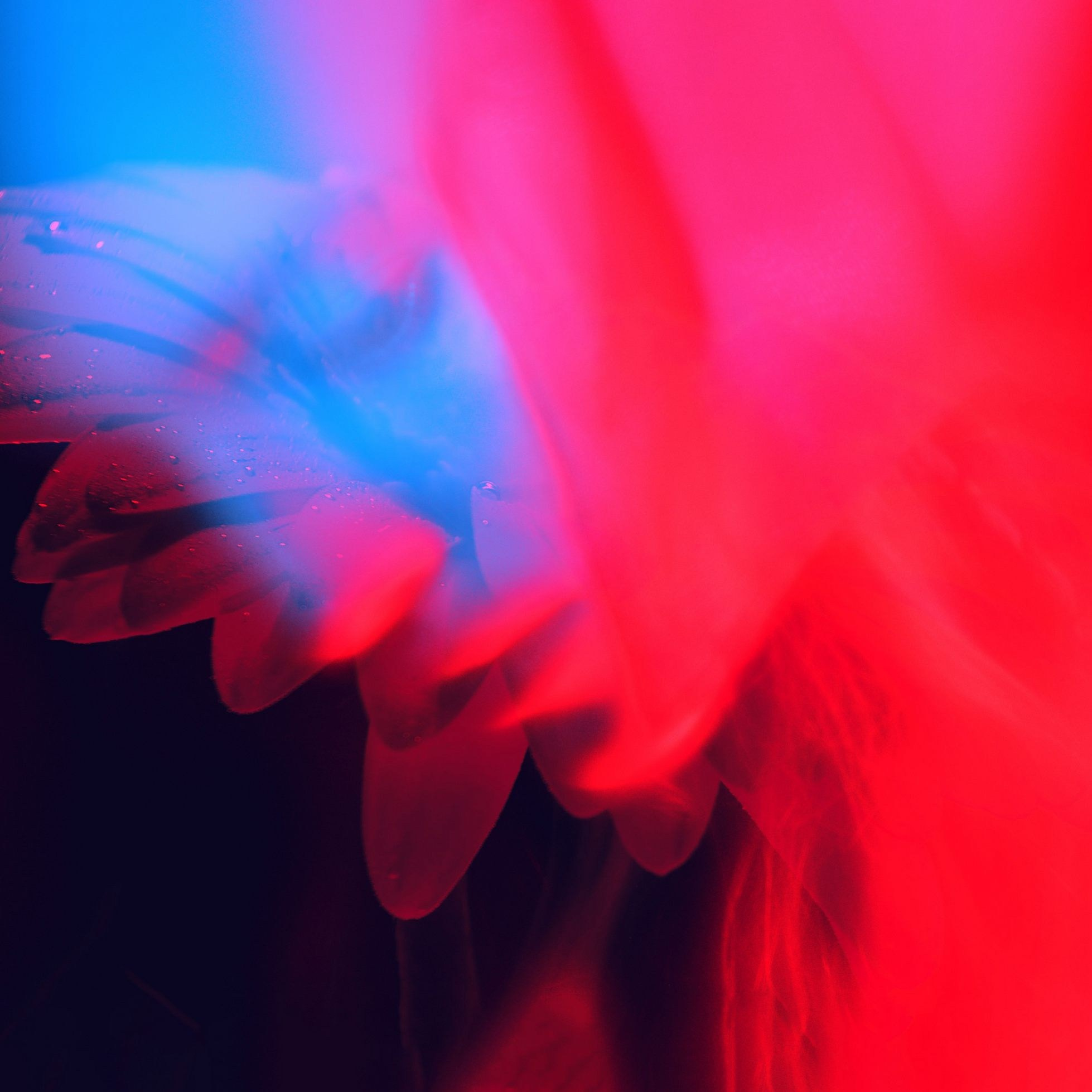 PAST LIVES. Eduard Kopysov — International visual artist