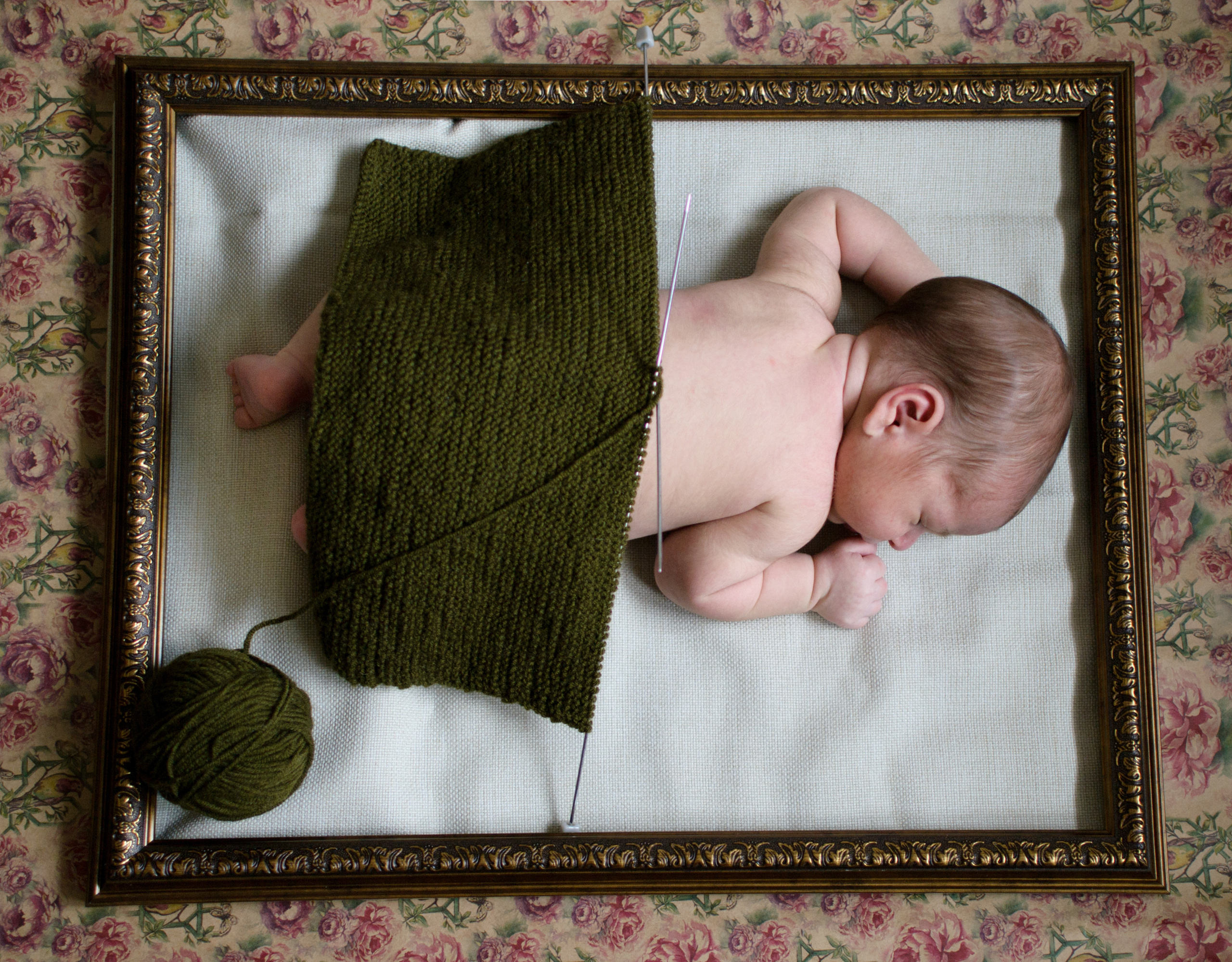 Творческое обьединение фотографов