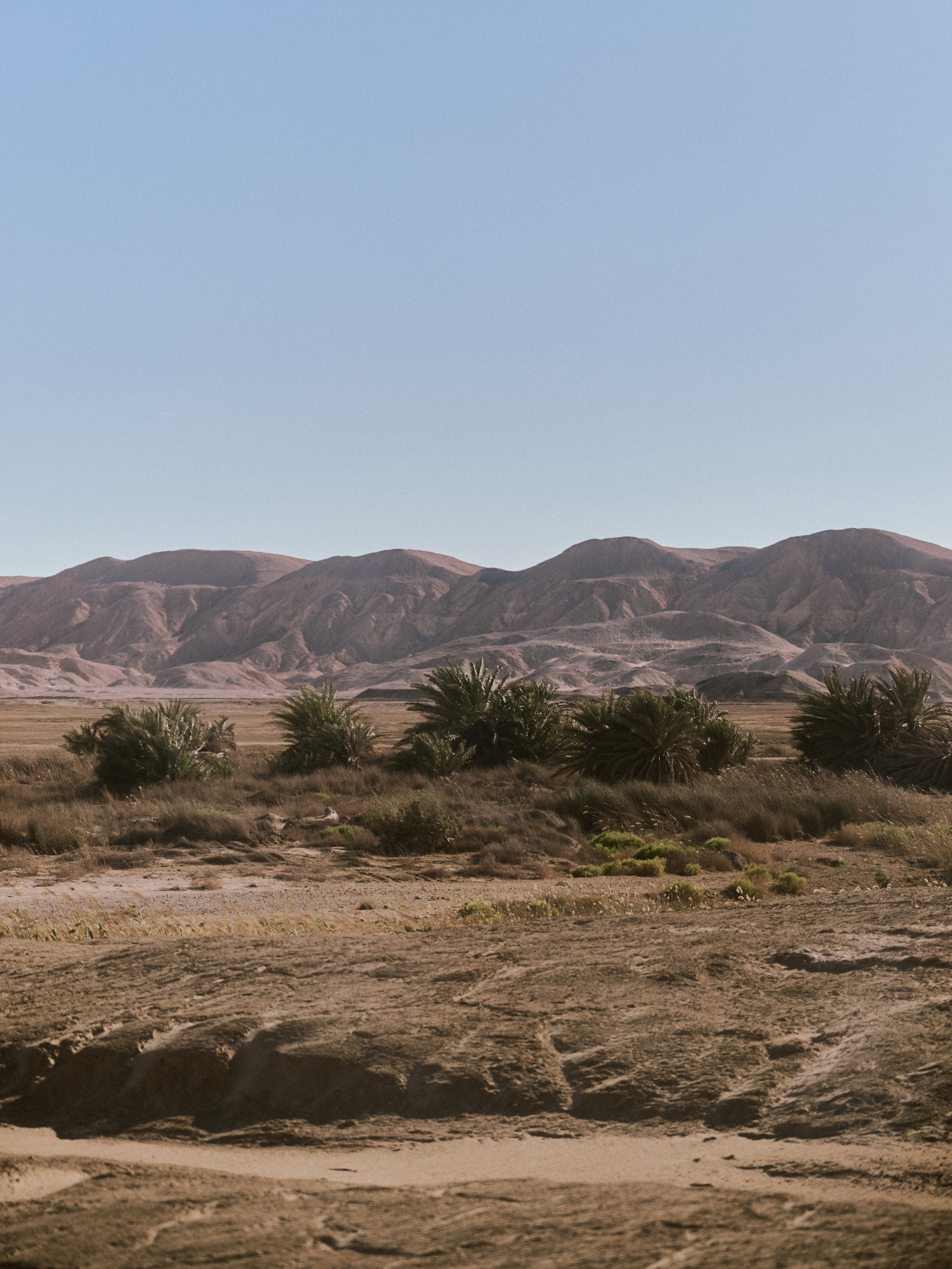 El-malacha (Оазис). Jorgis — фотограф в Хургаде / обучение фотографии