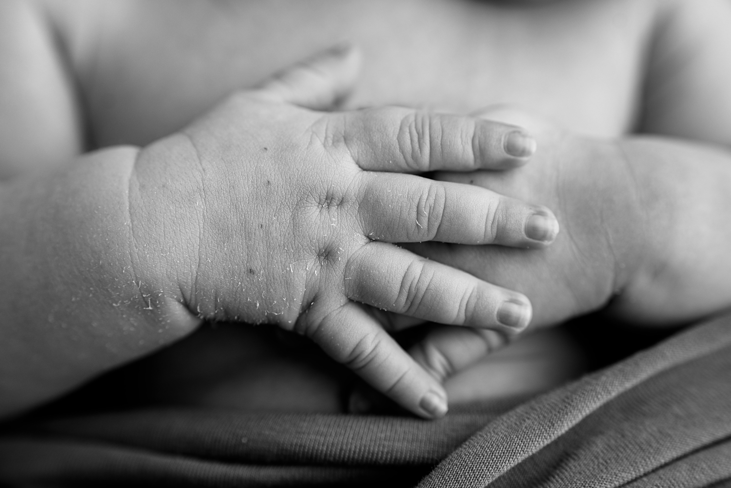 Макрокадры. Детский фотограф новорождённых в Барнауле Ксения Хомкина