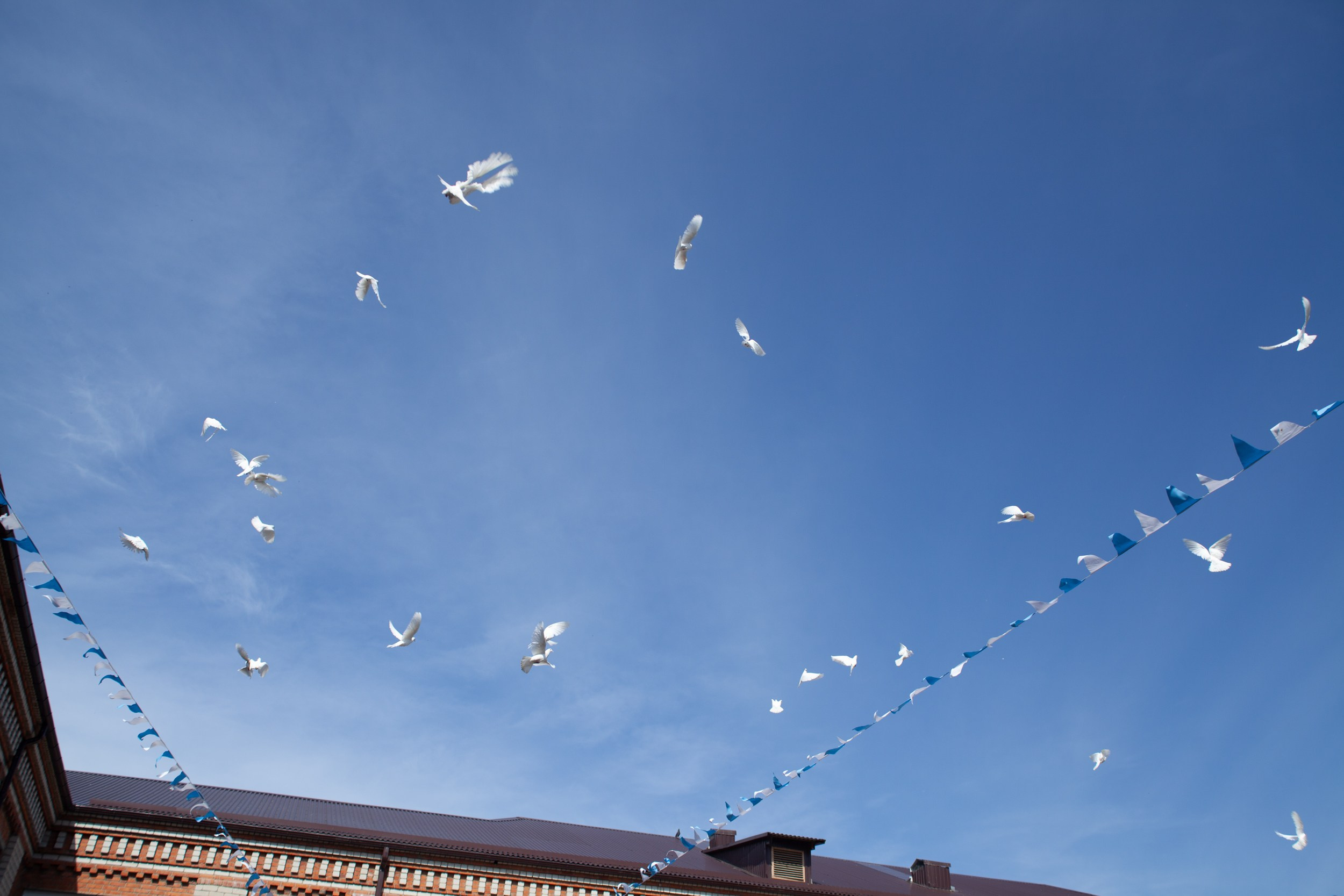 Последний звонок в Десяточке