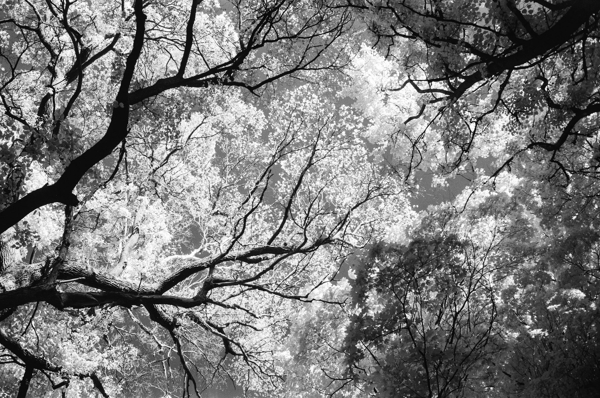 Плёночные фотографии. Фотограф — Василий Стабров