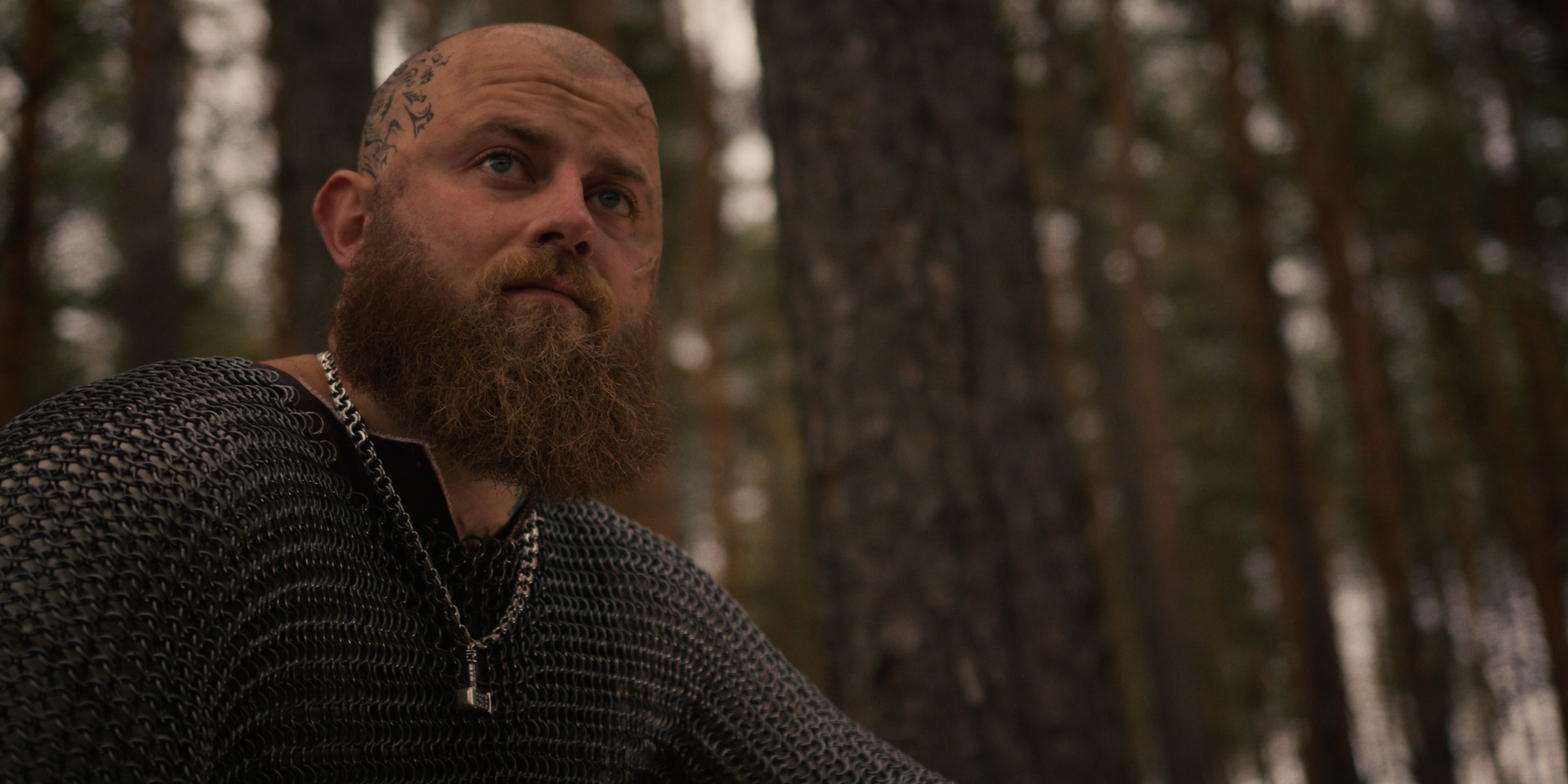 ANILEDA — Русь (сниппет). Цветокоррекция видео | Novikov Color