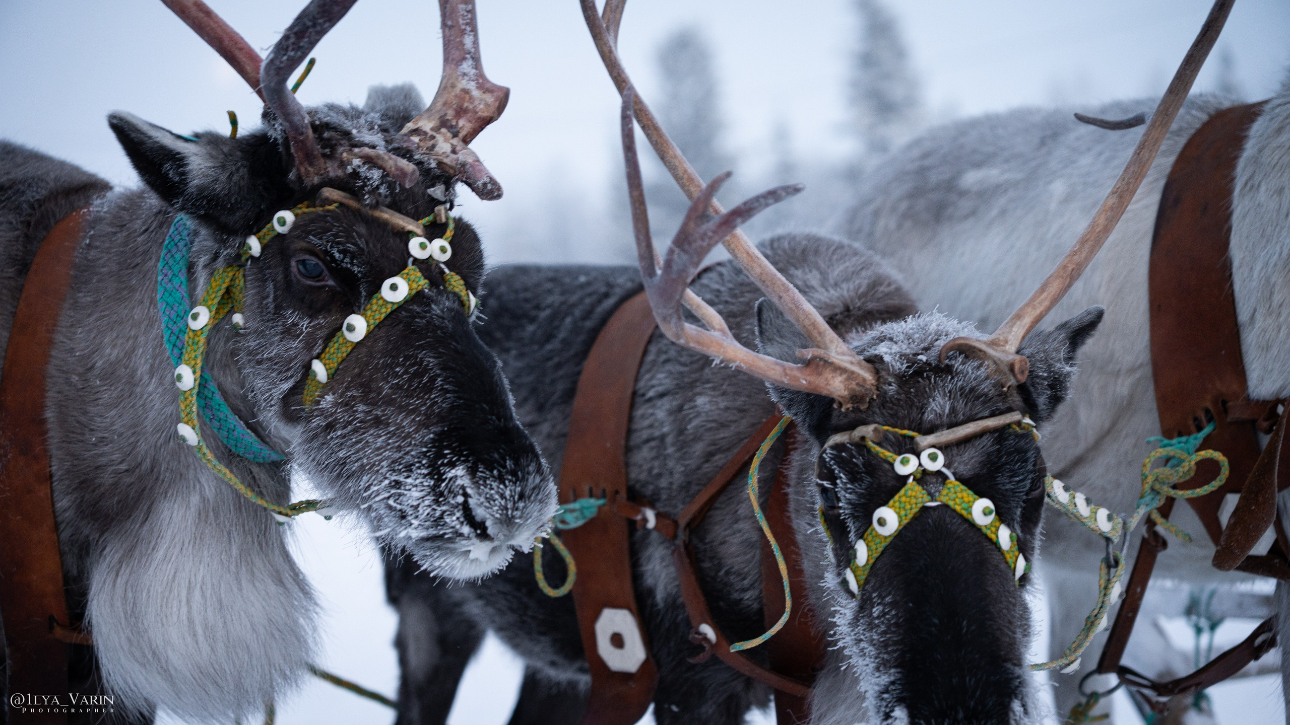 Кольский полуостров. Илья Варин — Фотограф Москва, Тверь