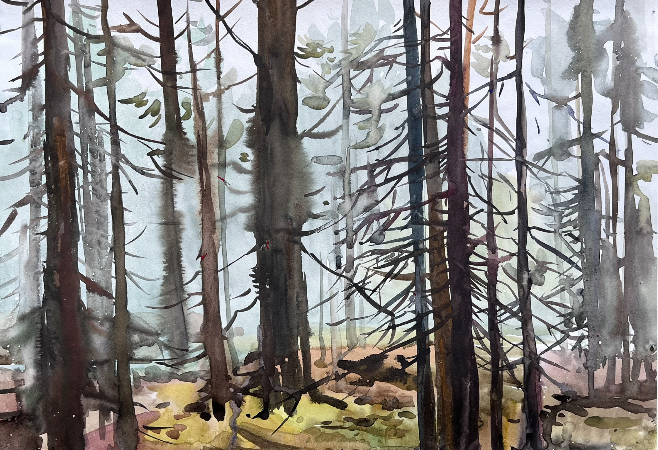 Сквозь колеблемые своды. Ефремова Ольга. Художник