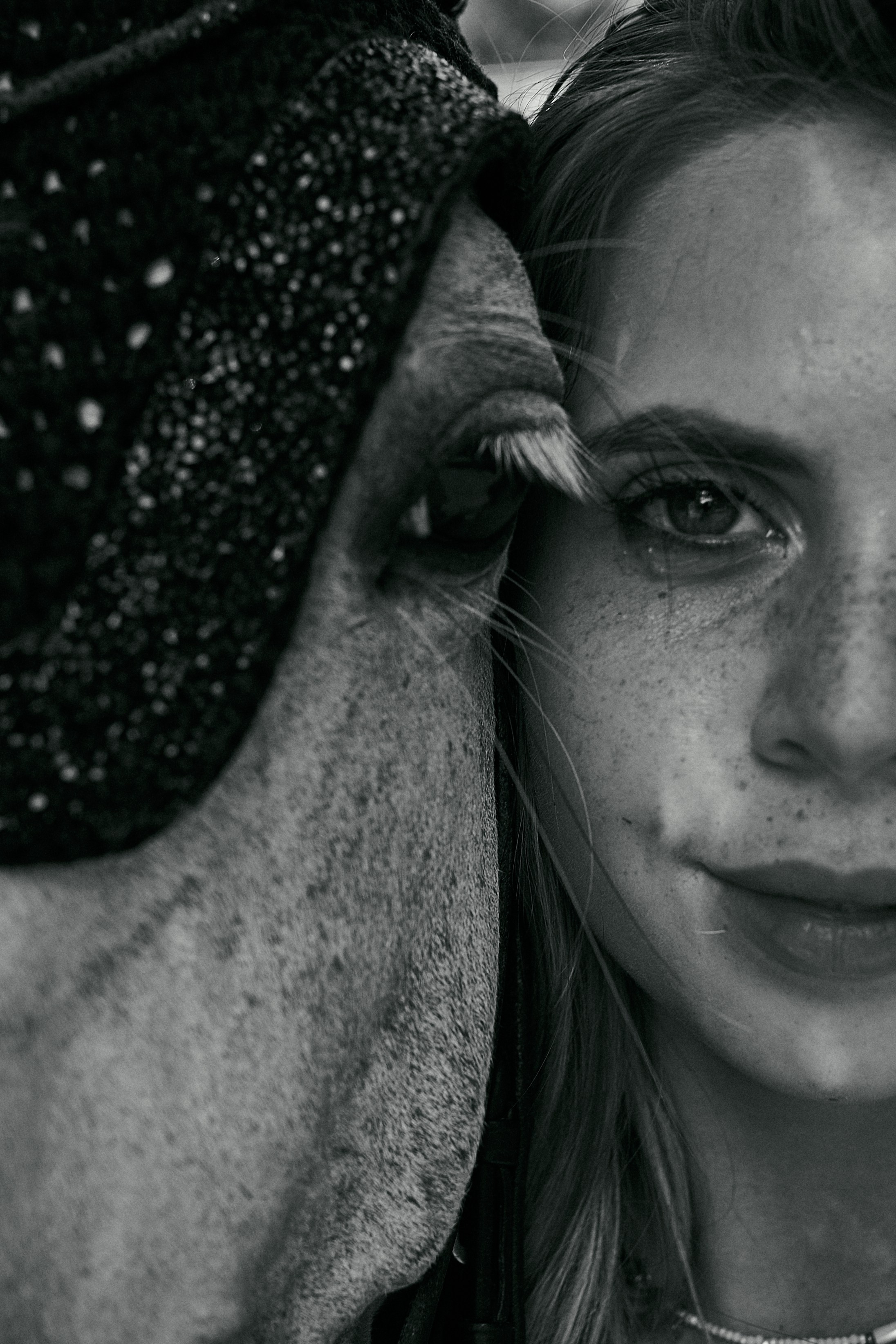 Фотосессии с лошадьми в Москве, Новосибирске