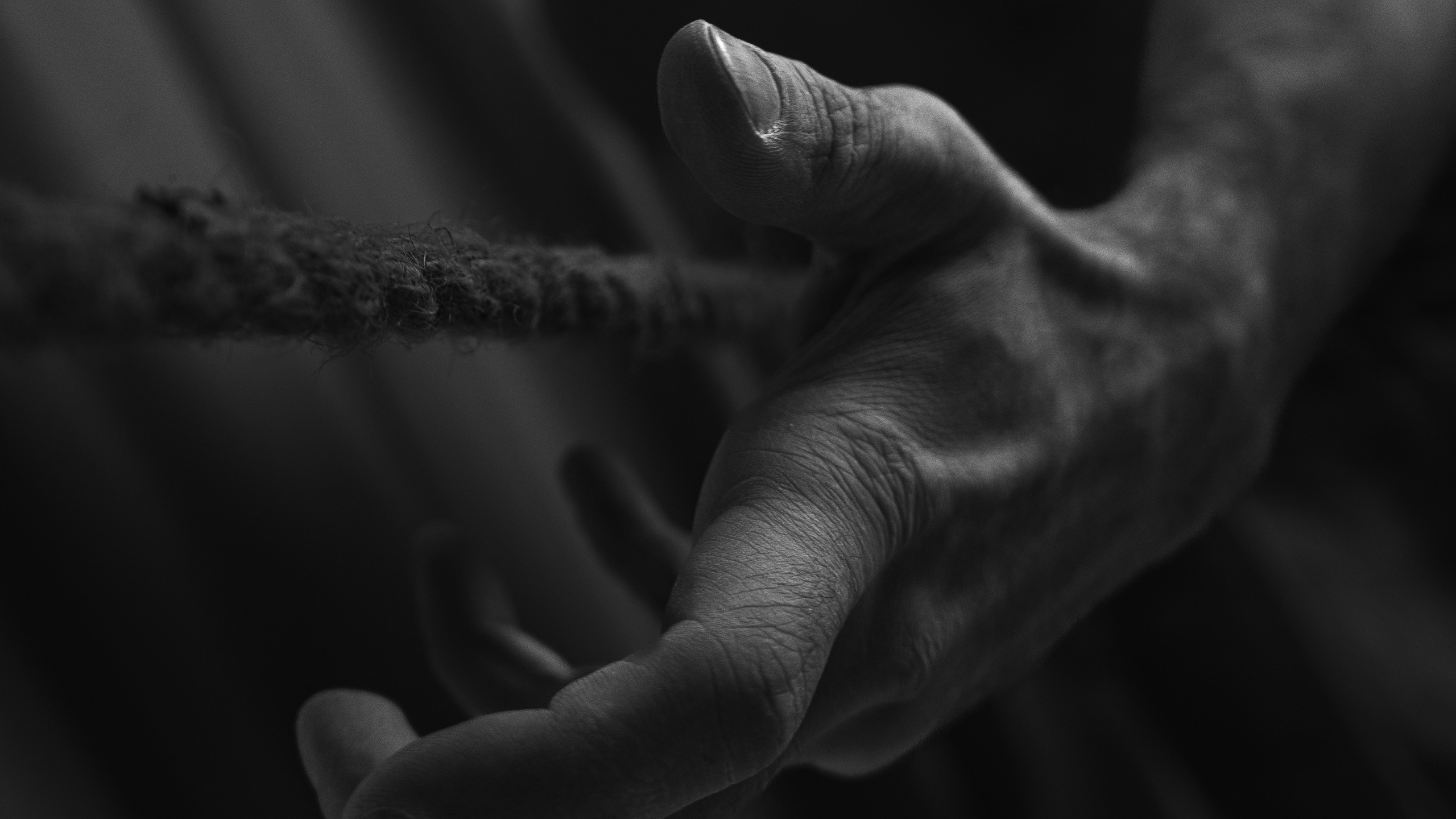 ОБО МНЕ. Фотограф Алексей Гарьковенко