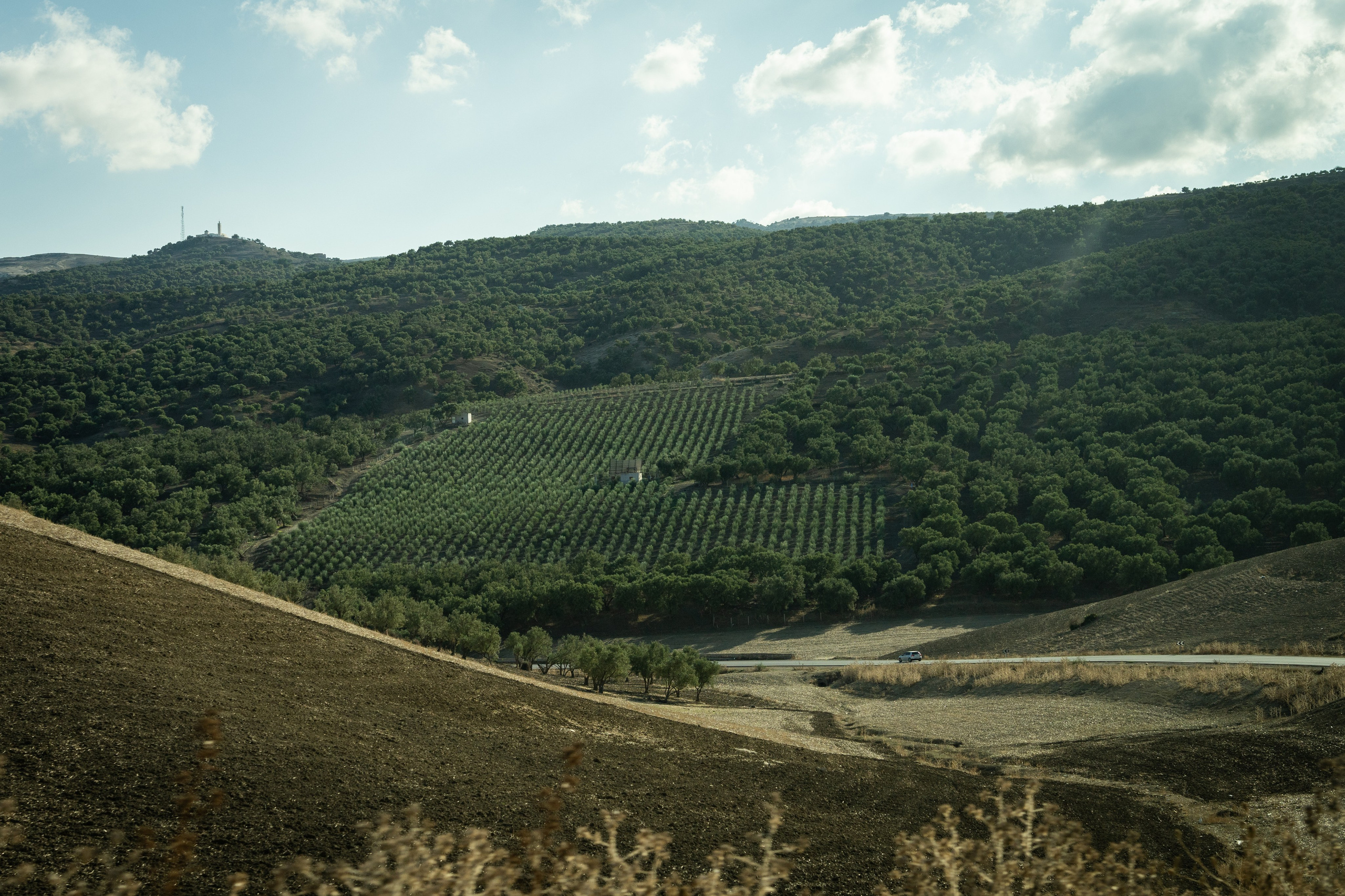 Марокко. Илья Варин — Фотограф Москва, Тверь