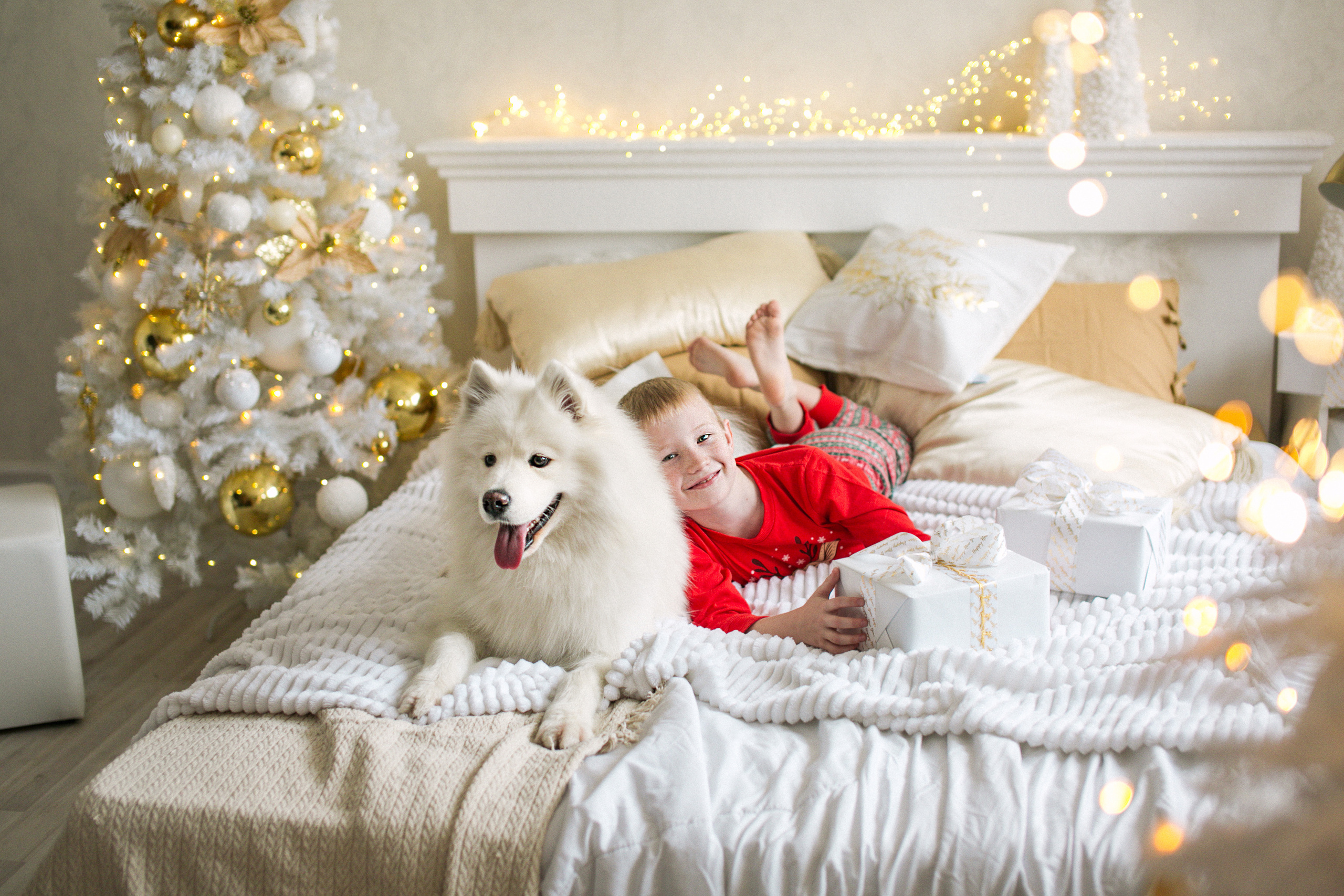 Фотодень с собачками