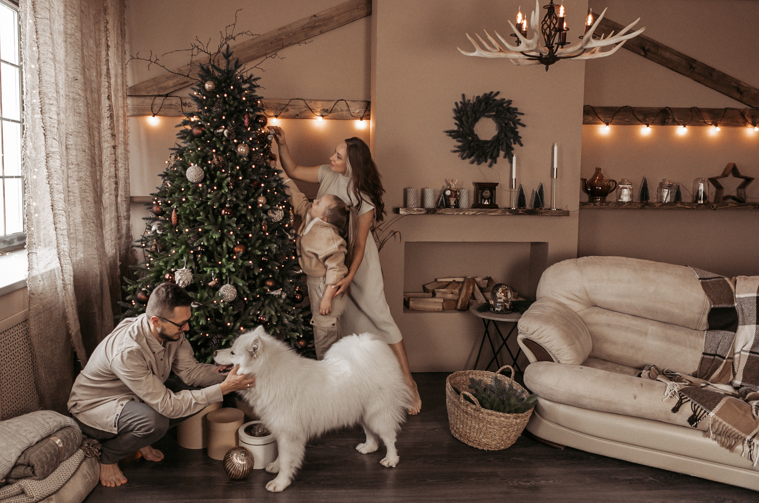 Фотодень с собачками