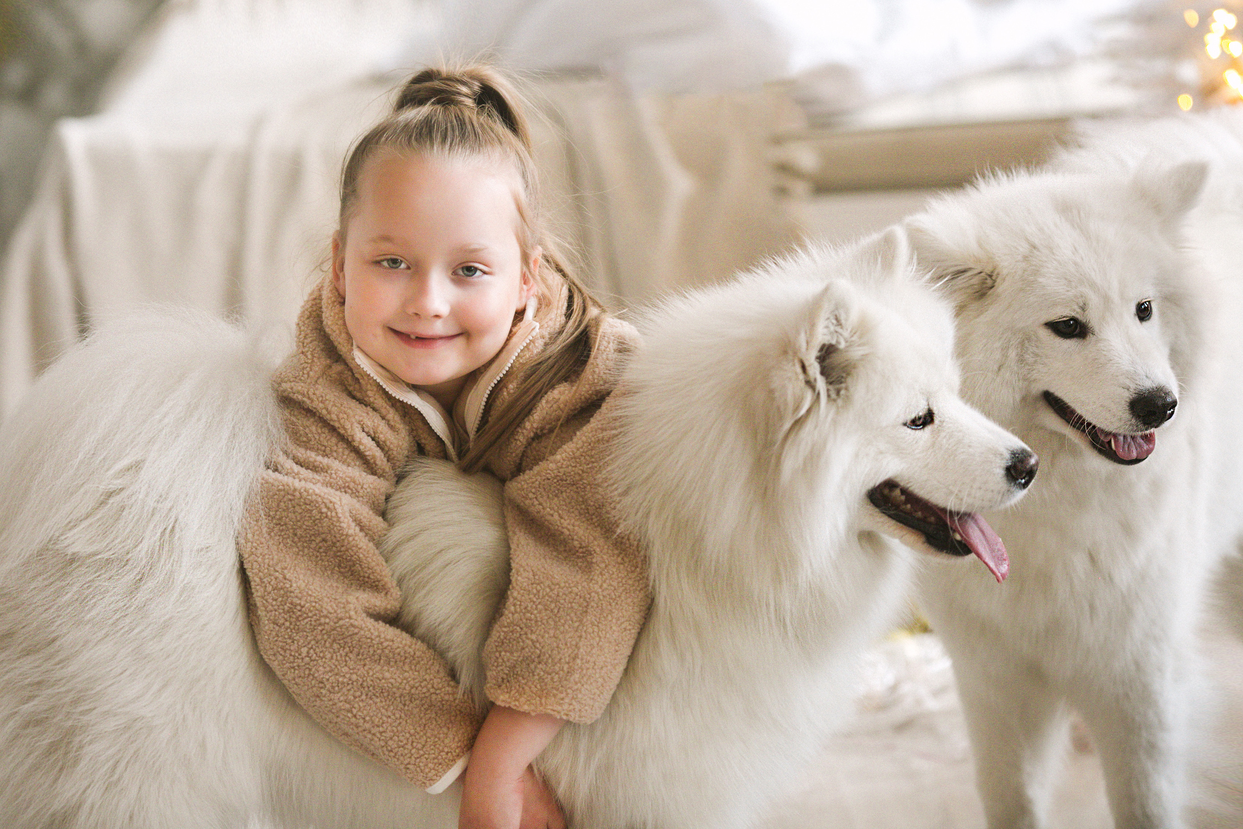 Фотодень с собачками