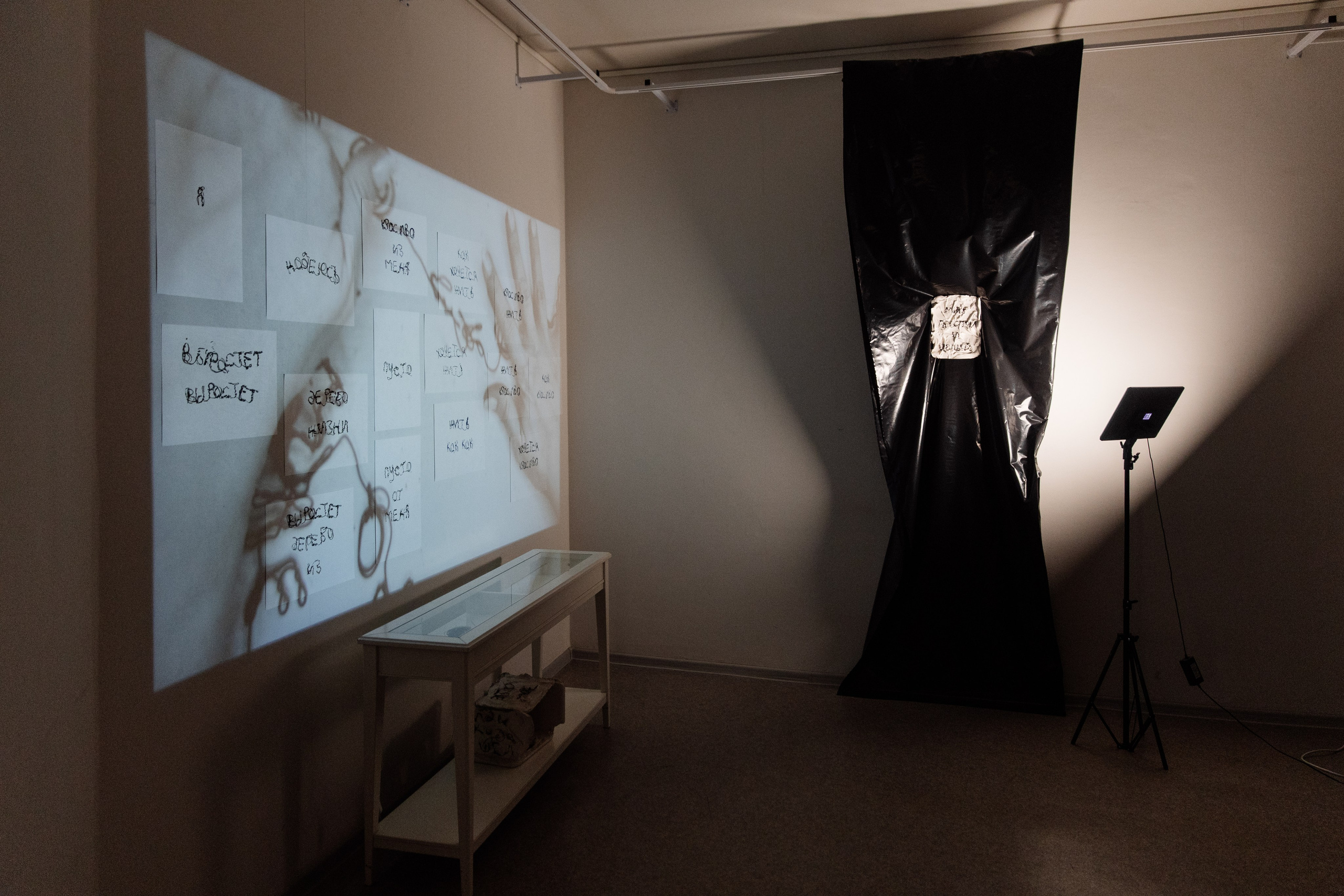 Как мне называть тебя? Когда я разбужу тебя. Елизавета Иванова — независимый куратор, культуролог, исследователь художественных практик, художник