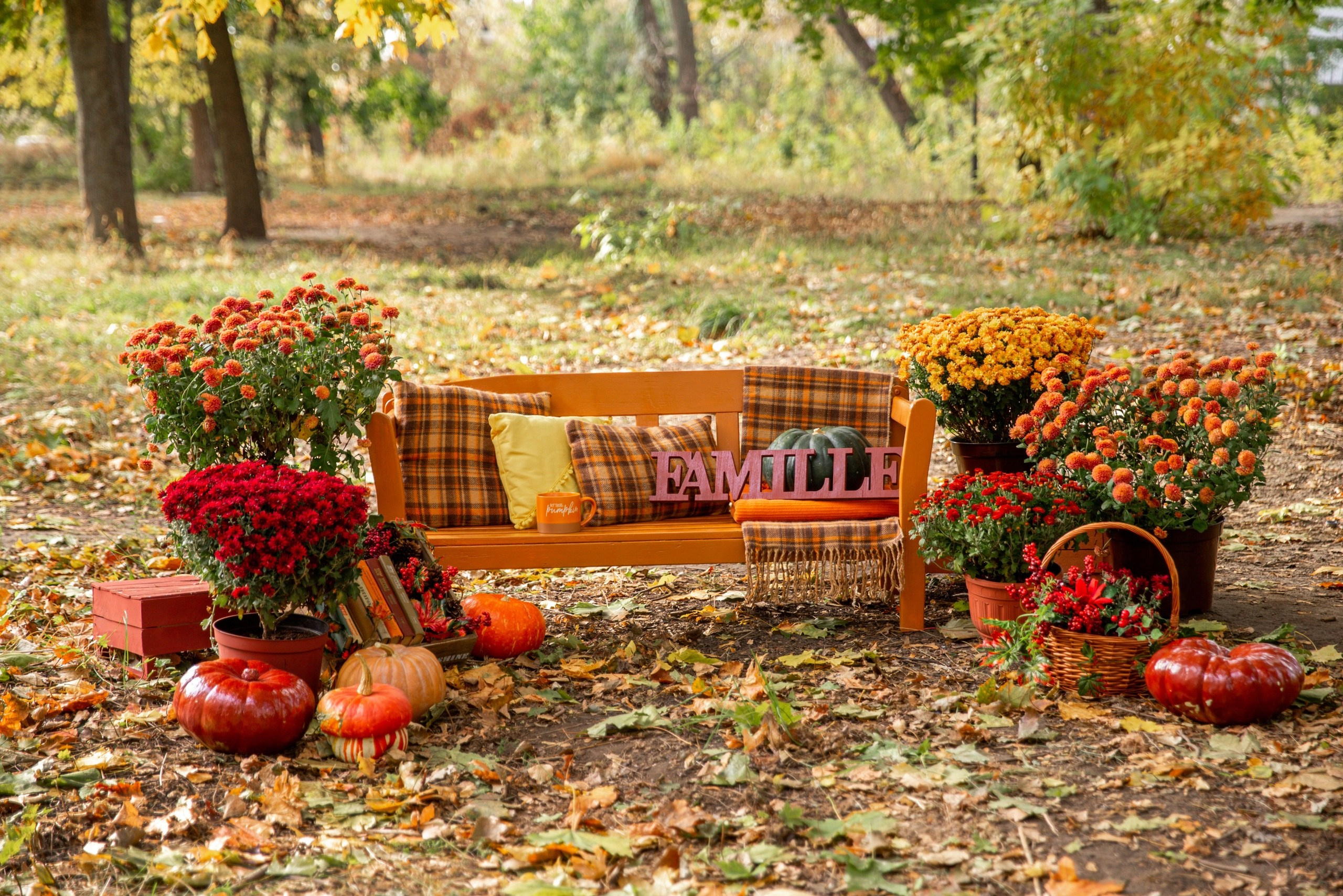 ОСЕННИЕ ДЕКОРАЦИИ (5, 6, 13, 20 октября)). Семейный и свадебный фотограф в Воронеже Майя Добровольская