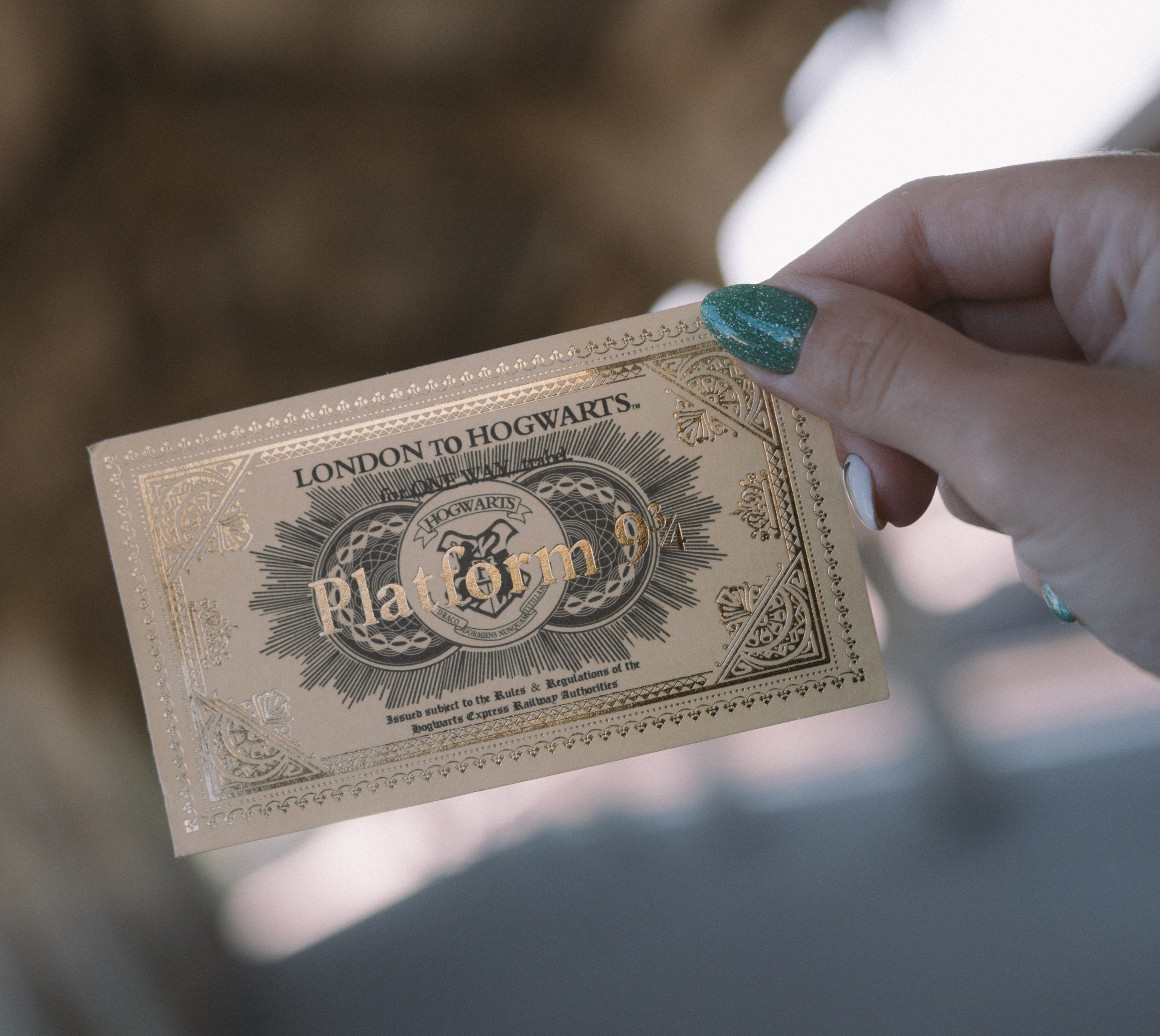 Тематическая фотосессия в стиле Гарри Поттера. Билет на Хогвартс-экспресс