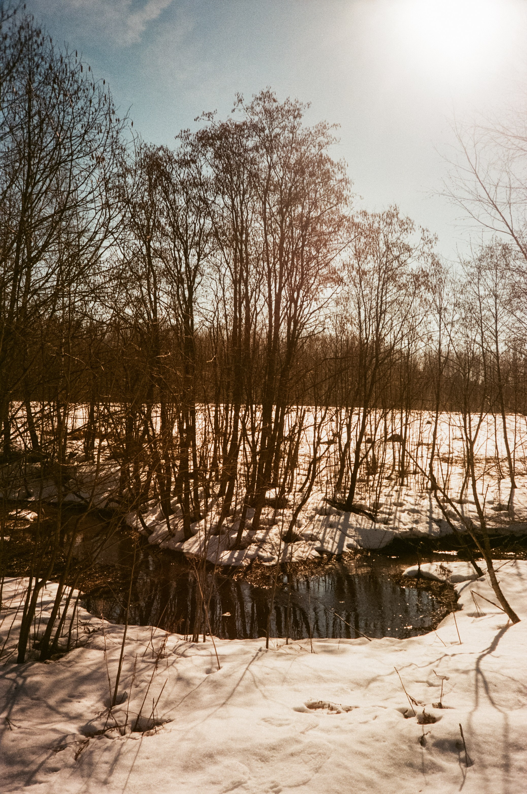 Ricoh FF-300D / Fujifilm X-tra 400 (просрочка) / Лукино март 2024 г