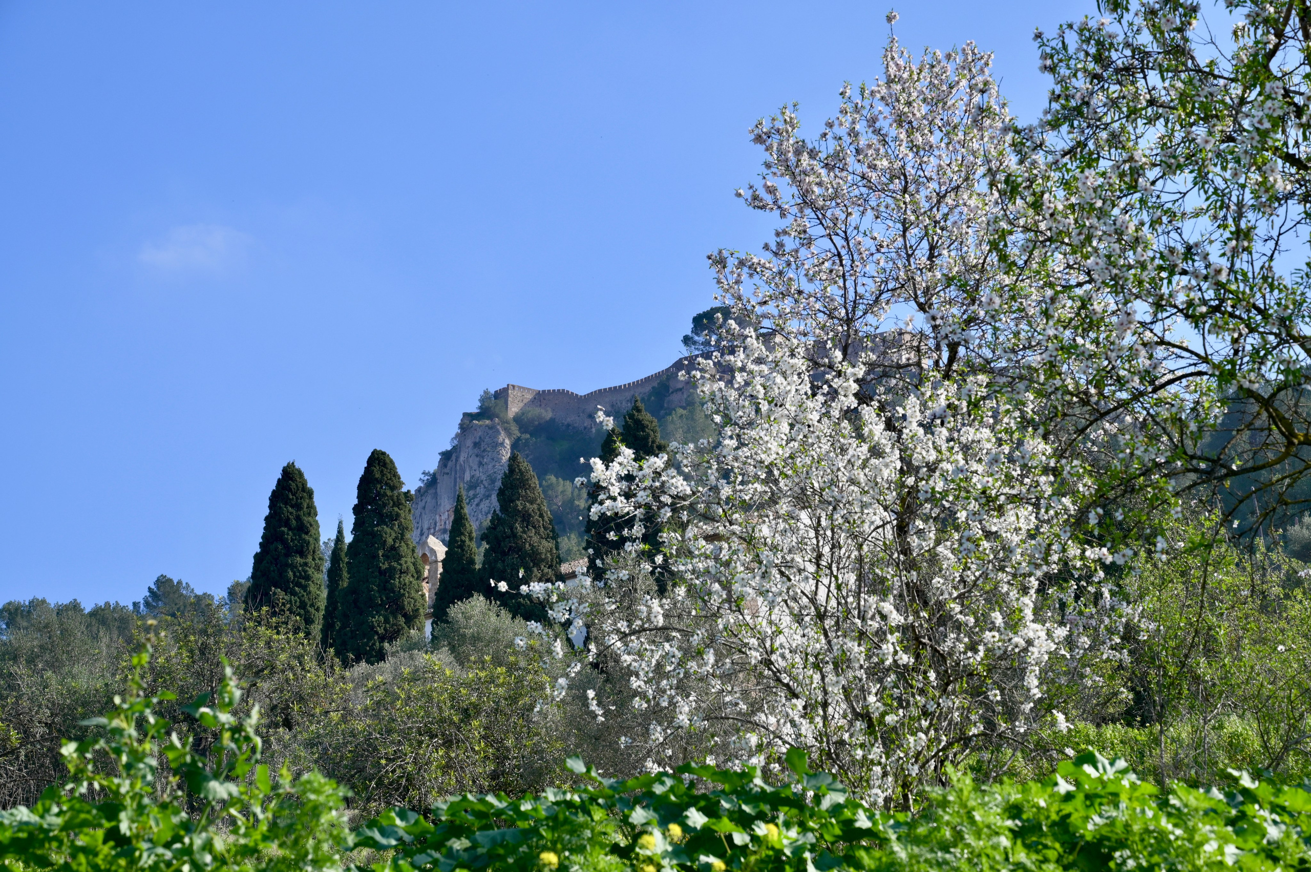 Достопримечательности Испании, город Хатива. Гид и фотограф в Валенсии Новиков Михаил