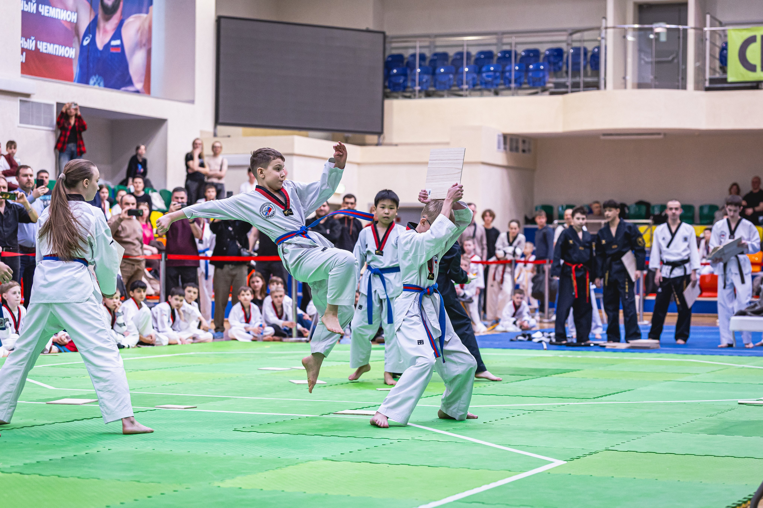 Турнир ВДЮФСОО «ФЕДЕРАЦИЯ ДЕТСКОГО ТХЭКВОНДО РОССИИ» и МОО СПКЕ «ЭРИДАН» по «СПОРТИВНОМУ БОЮ КЕРУГИ». Спортивный фотограф Максим Серегин