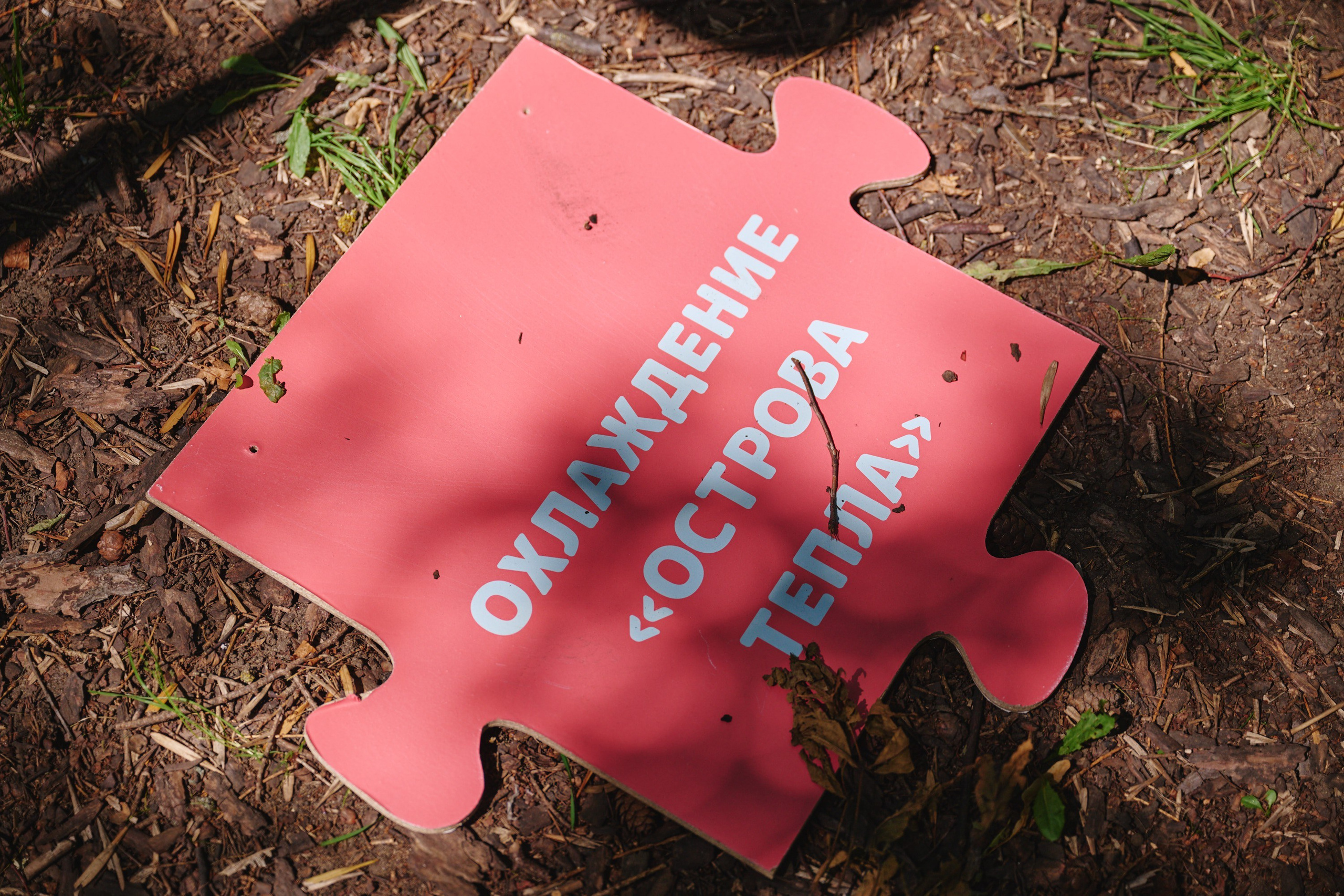 Ива фест 2025. Фотограф в Иваново: Каталожная съемка одежды и постельного белья, Wildberries