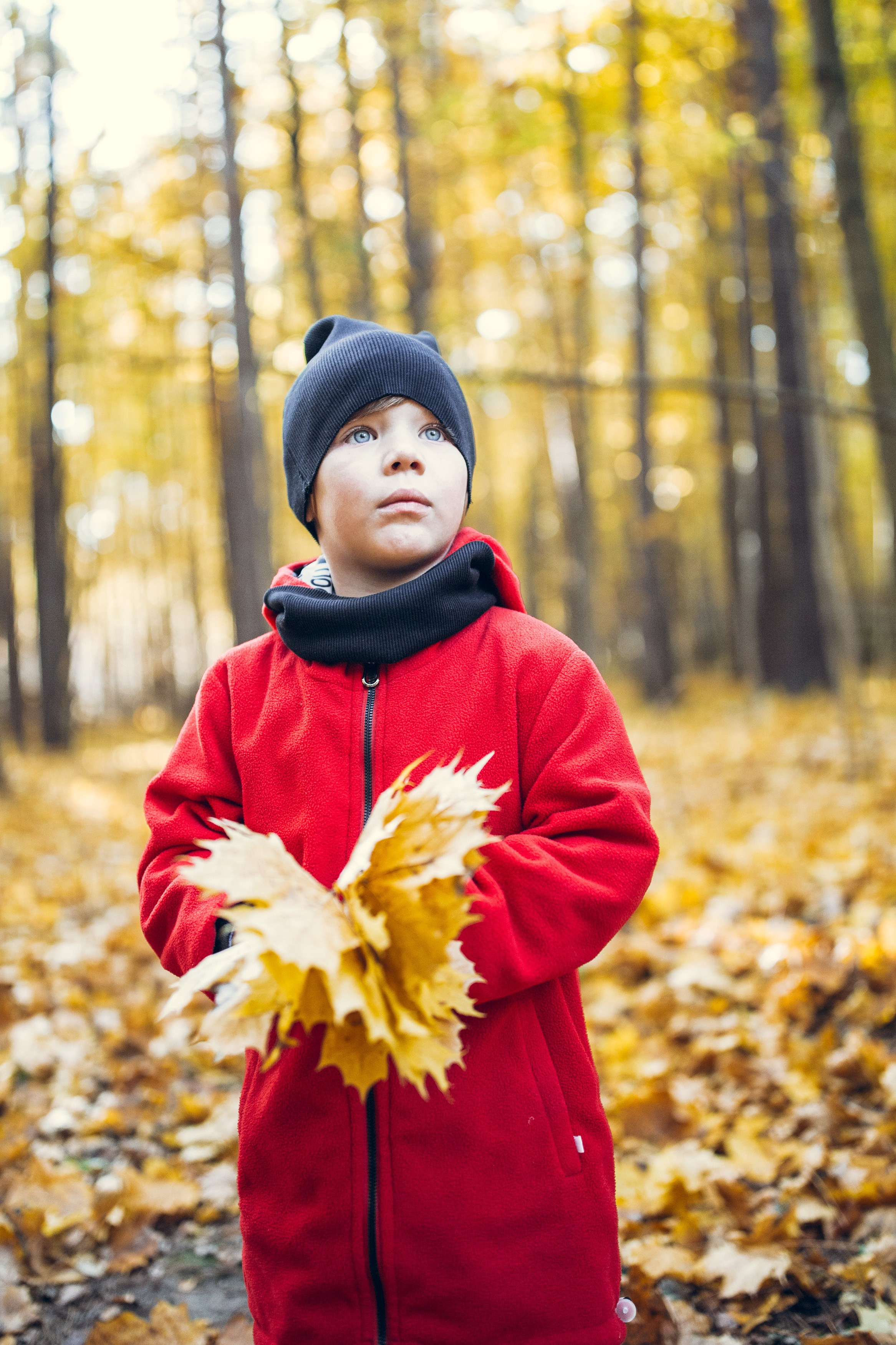 Фотопрогулка семьи в осеннем лесу. Фотограф — Евгений Свистков