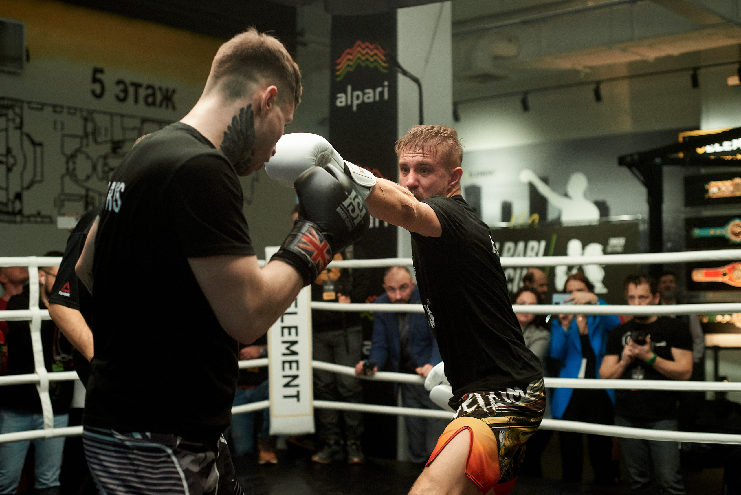 ШахБокс. Reportage event photographer in Moscow Alexander Gladkiy