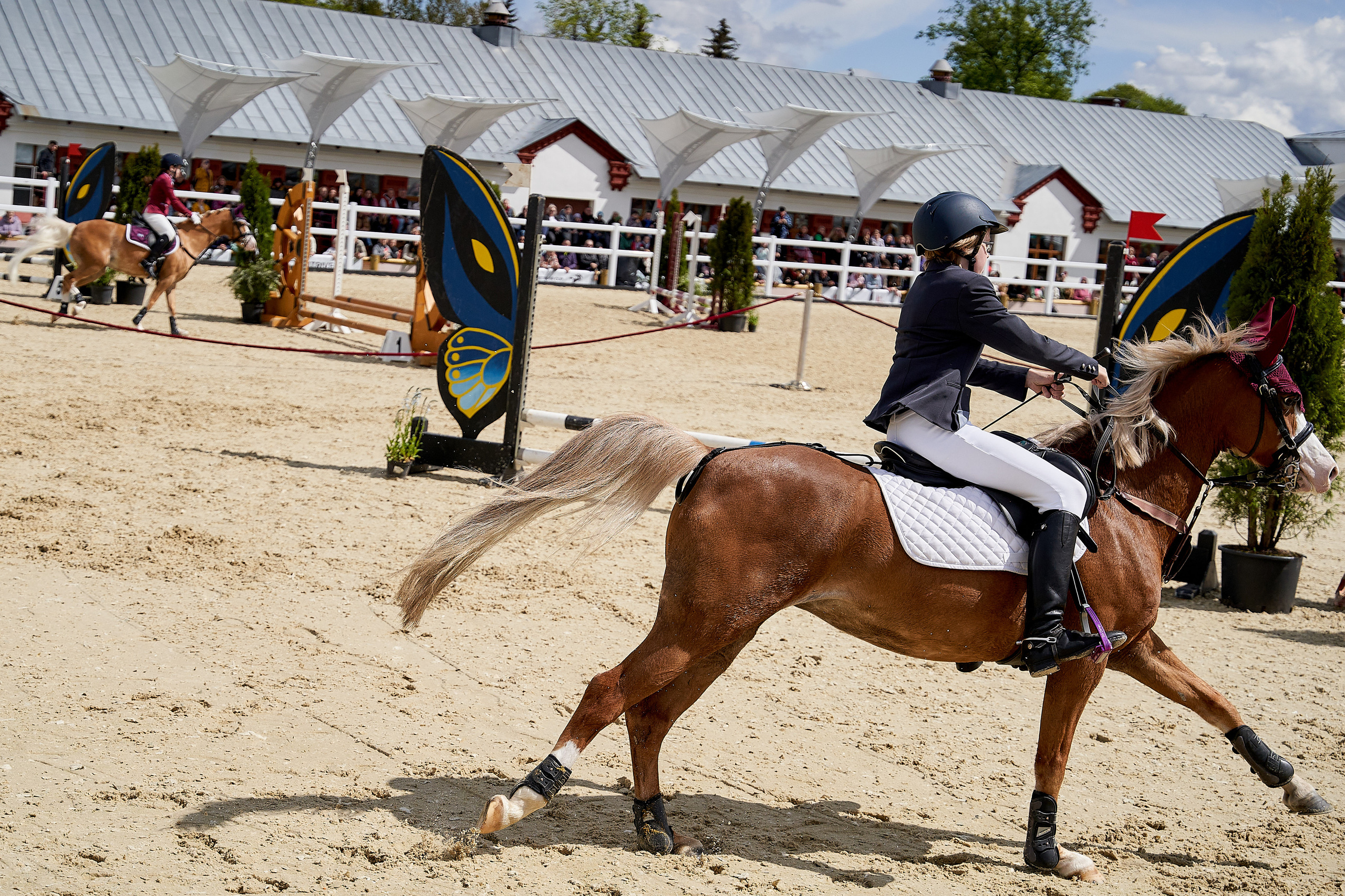 Кубок BitRiver по конкуру 2022. Reportage event photographer in Moscow Alexander Gladkiy
