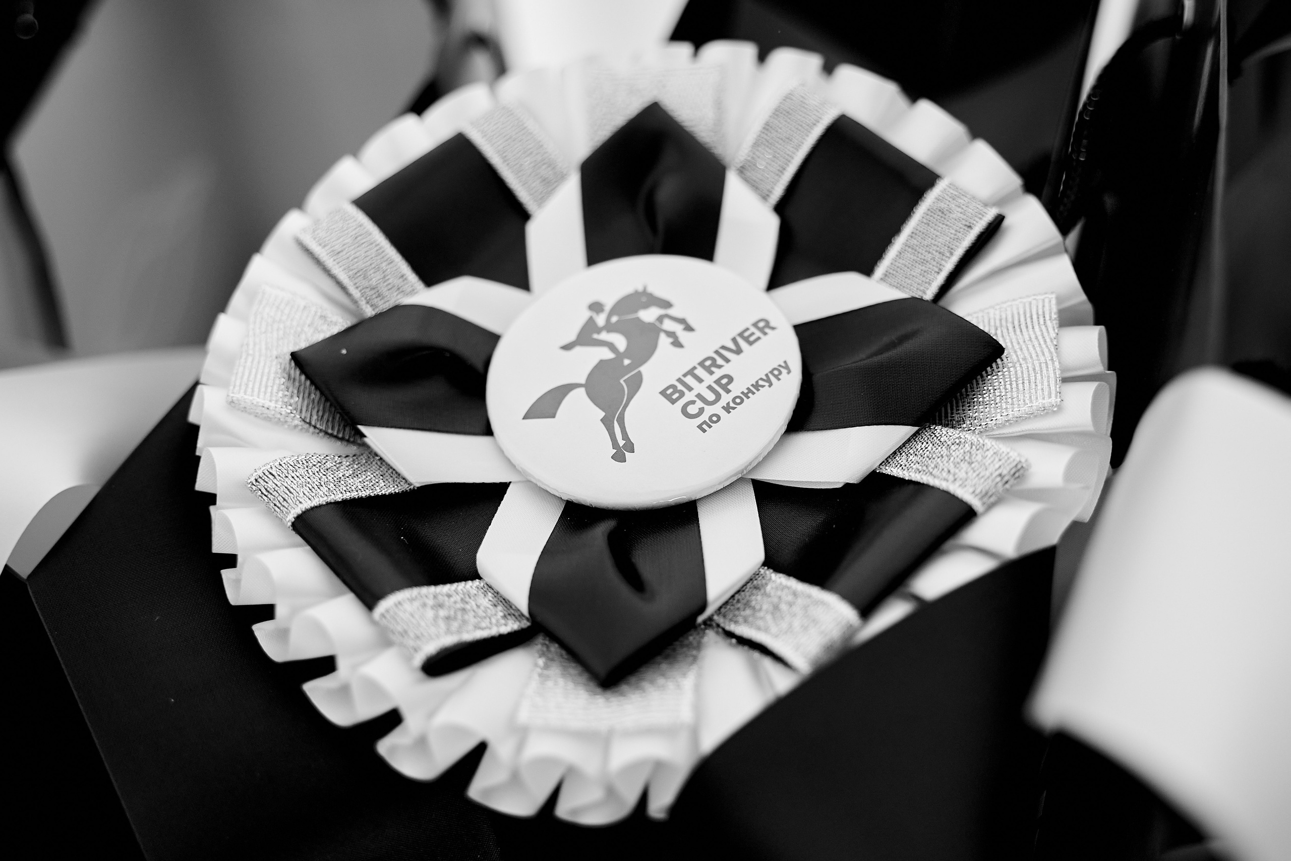 Конкур кубок BitRiver на ВДНХ