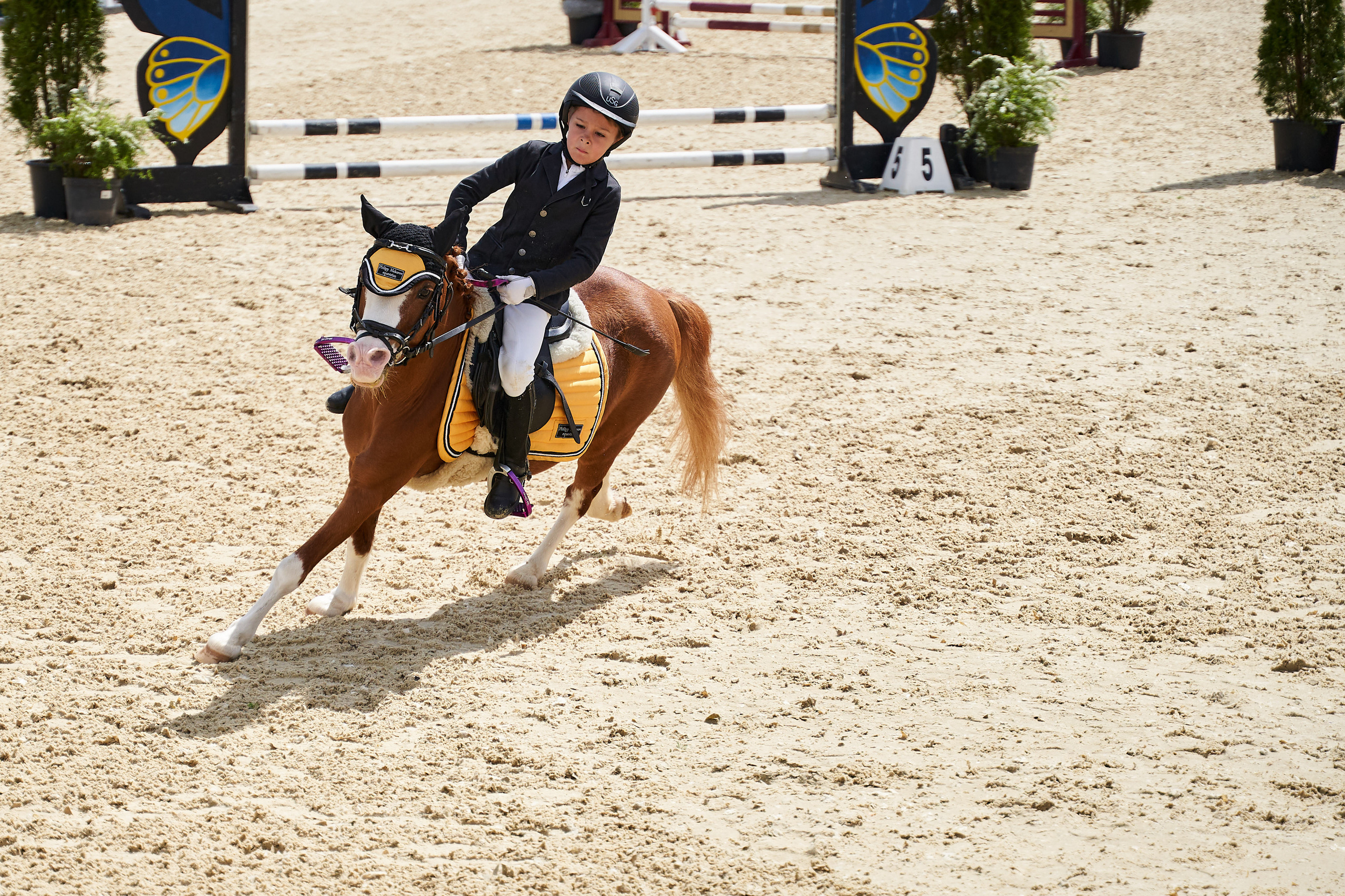 Кубок BitRiver по конкуру 2022. Reportage event photographer in Moscow Alexander Gladkiy