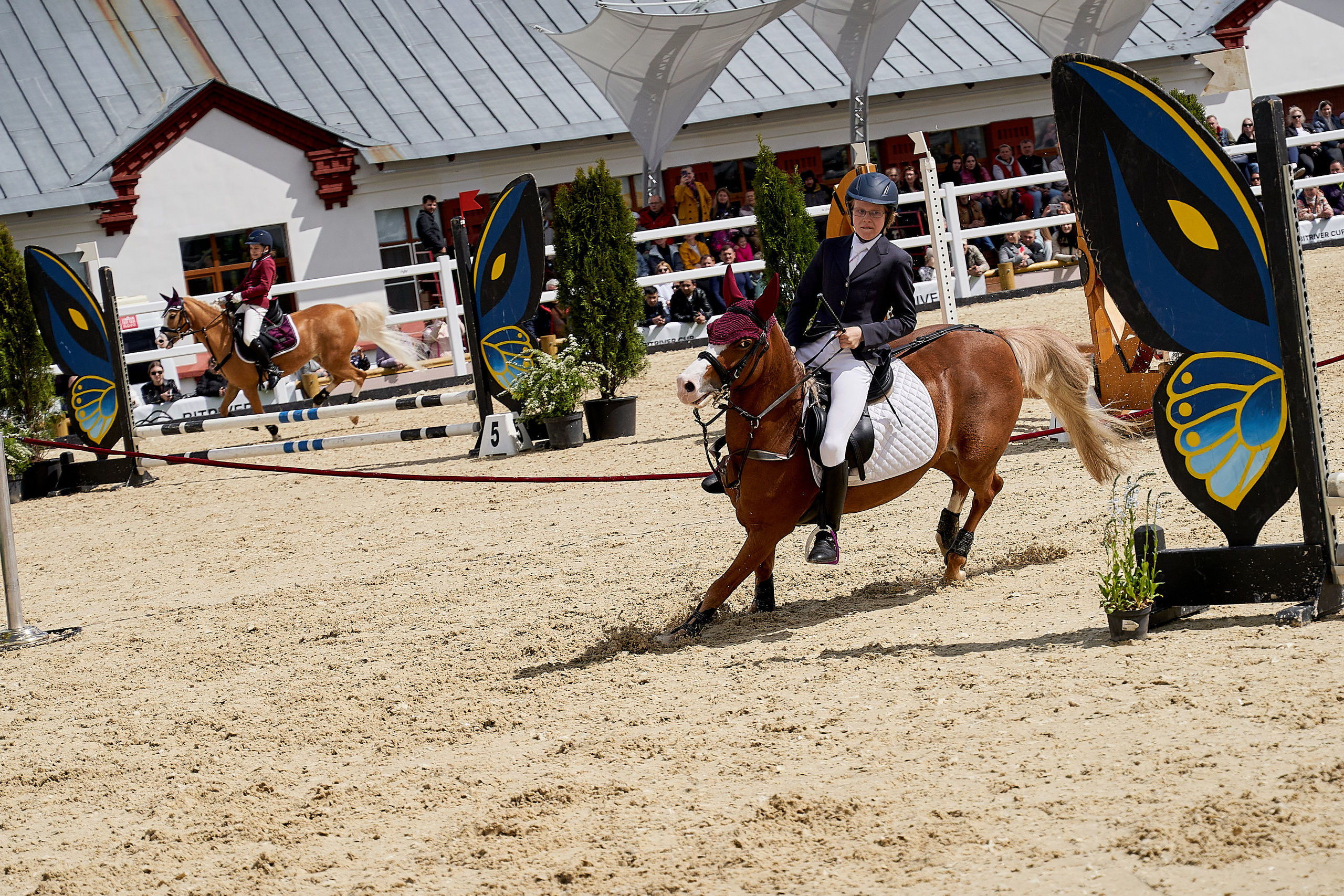 Кубок BitRiver по конкуру 2022. Reportage event photographer in Moscow Alexander Gladkiy
