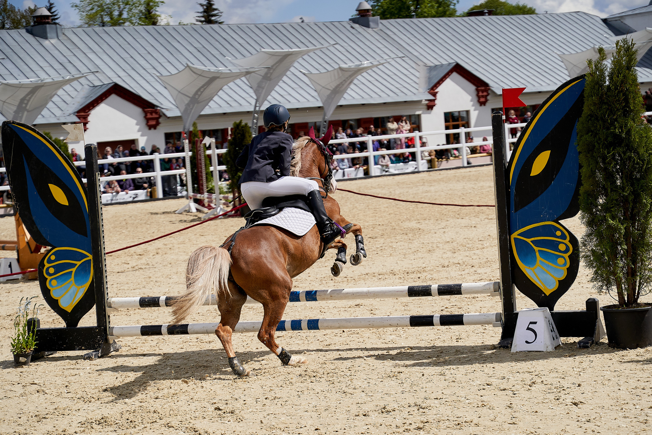 Кубок BitRiver по конкуру 2022. Reportage event photographer in Moscow Alexander Gladkiy