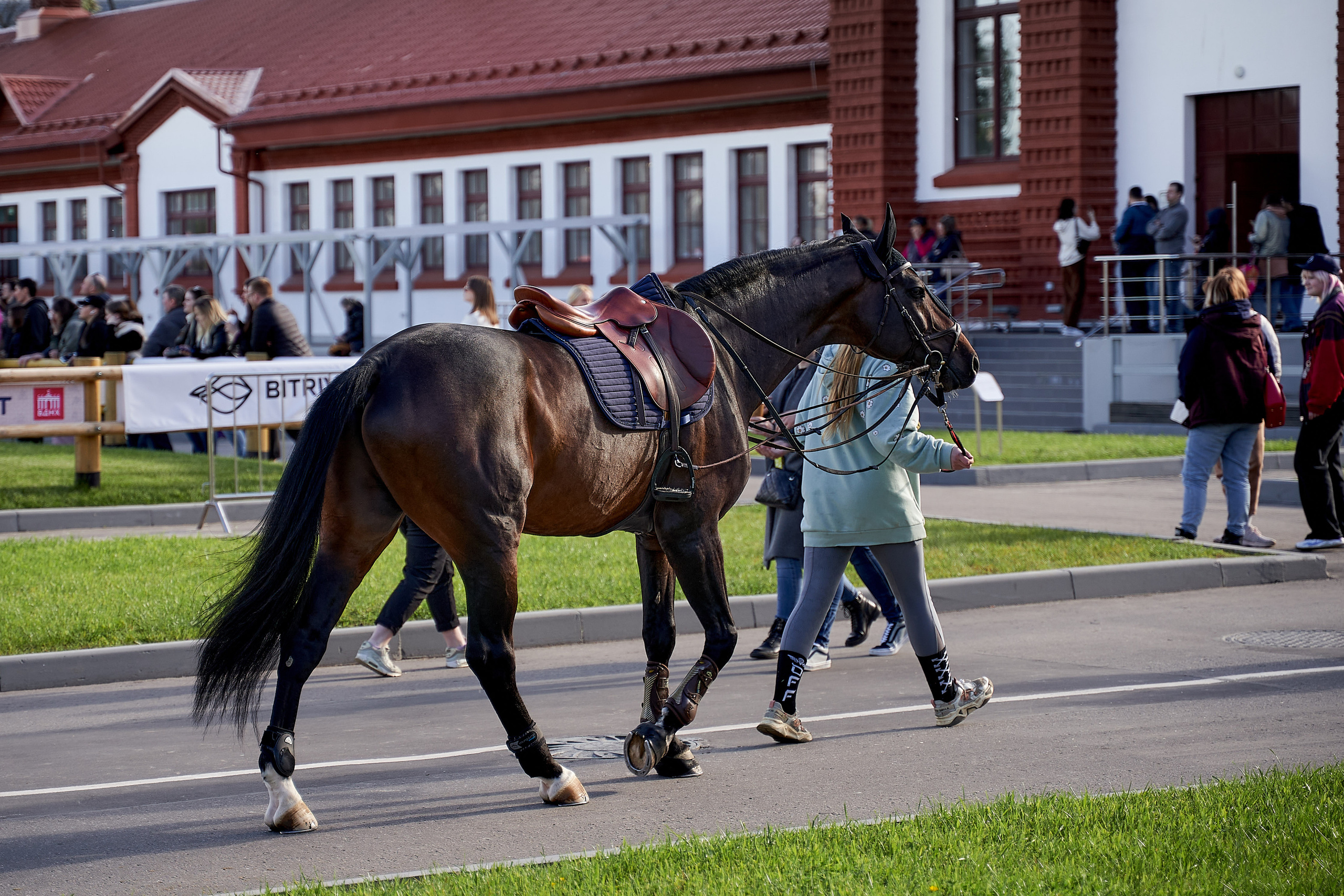Кубок BitRiver по конкуру 2022. Reportage event photographer in Moscow Alexander Gladkiy