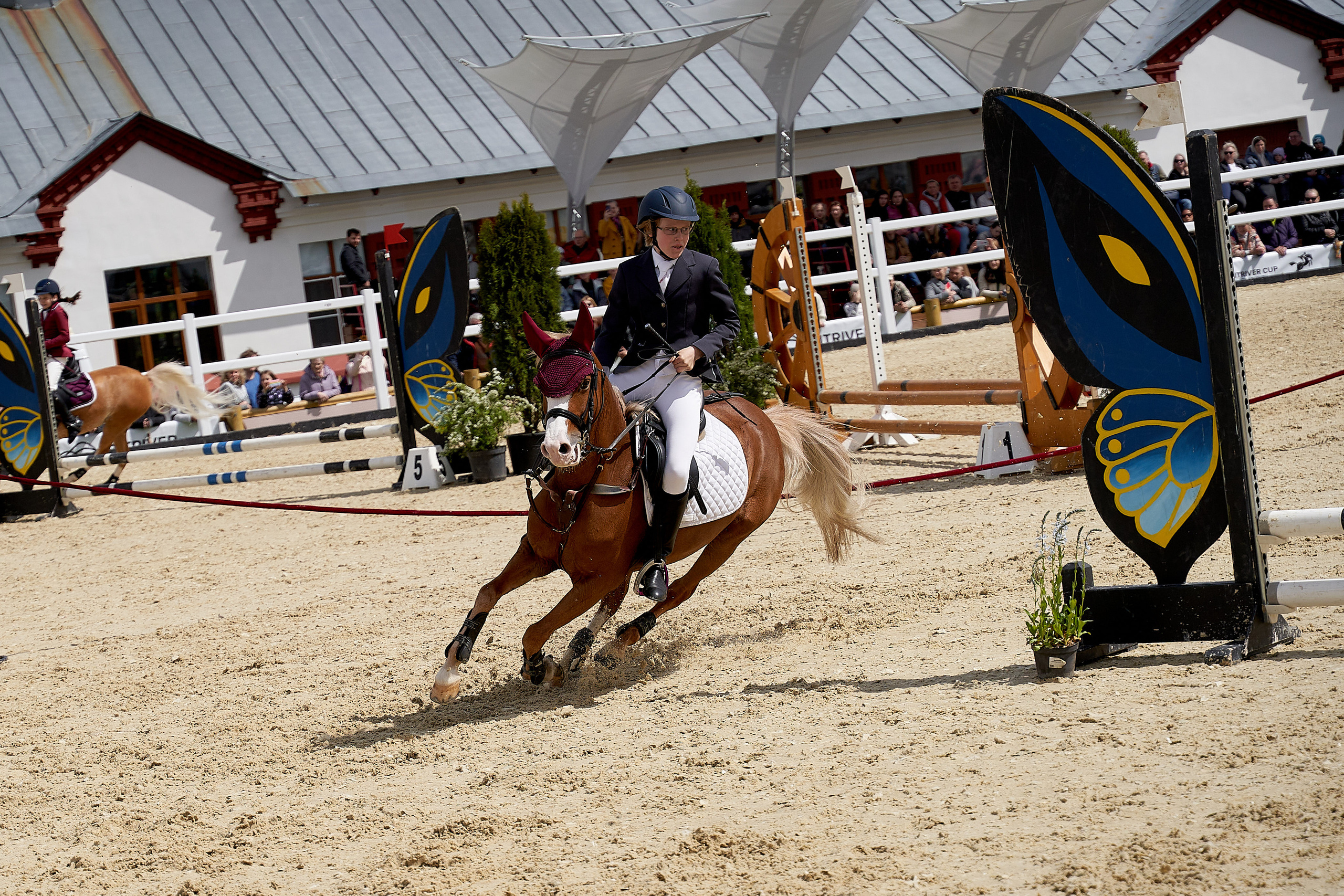 Кубок BitRiver по конкуру 2022. Reportage event photographer in Moscow Alexander Gladkiy