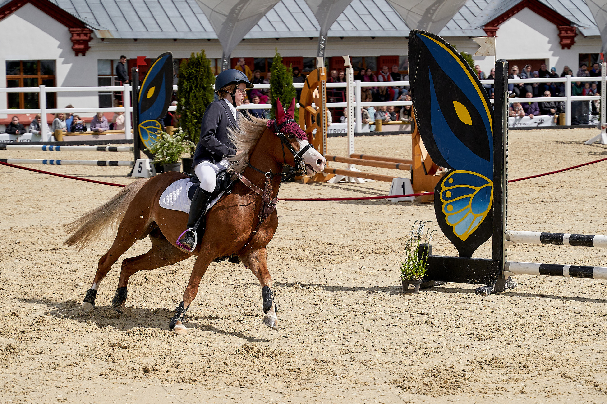 Кубок BitRiver по конкуру 2022. Reportage event photographer in Moscow Alexander Gladkiy
