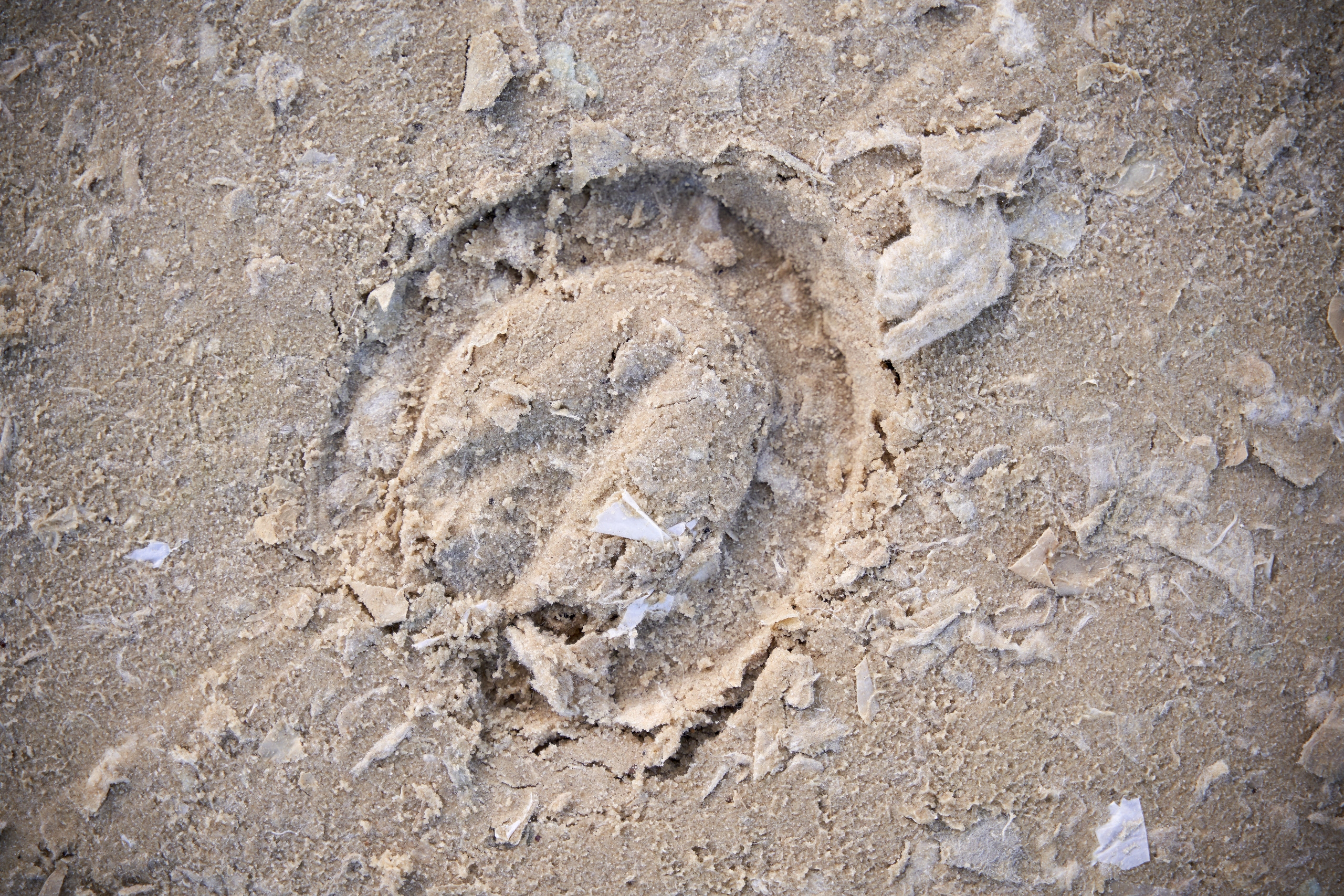 Кубок BitRiver по конкуру 2022. Reportage event photographer in Moscow Alexander Gladkiy