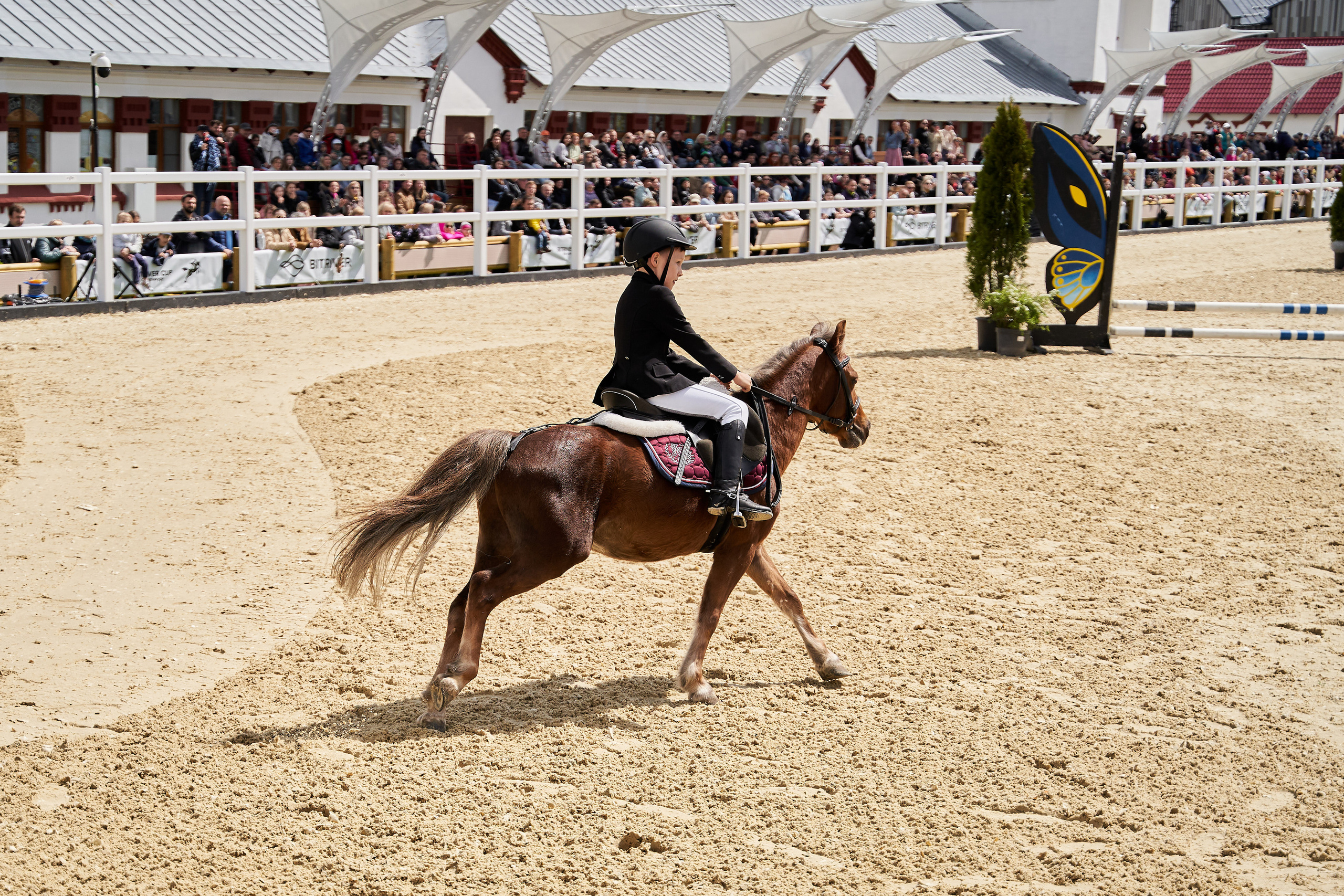 Кубок BitRiver по конкуру 2022. Reportage event photographer in Moscow Alexander Gladkiy