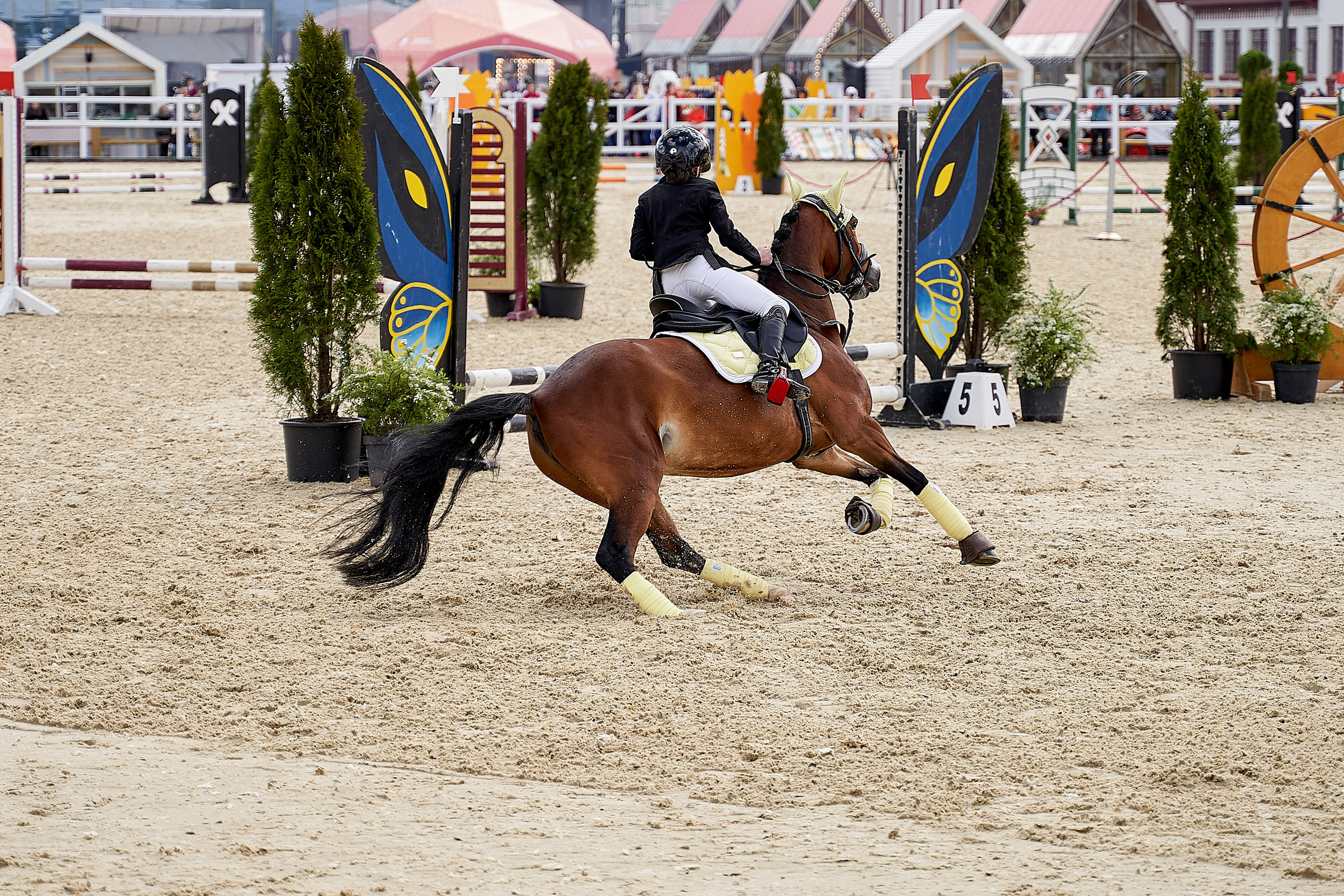 Кубок BitRiver по конкуру 2022. Reportage event photographer in Moscow Alexander Gladkiy