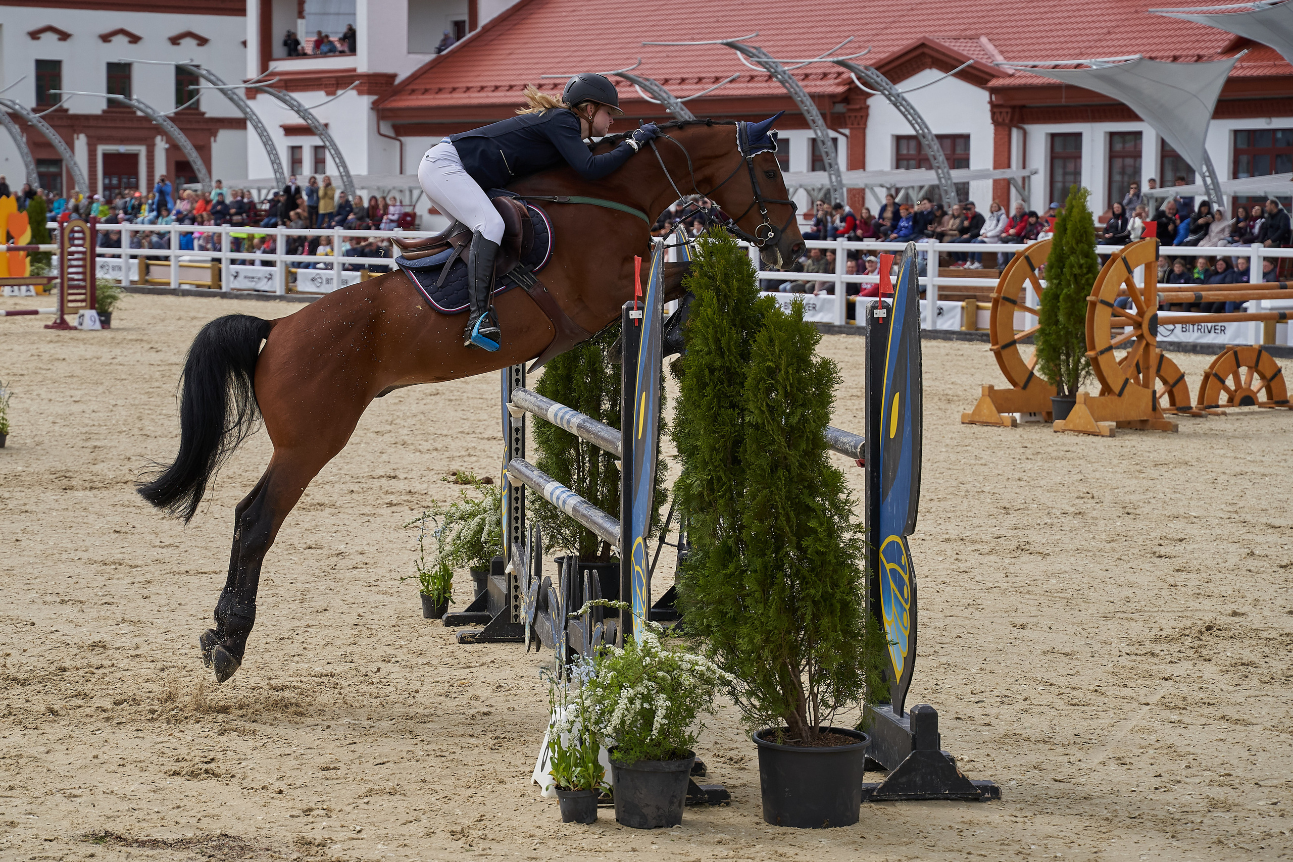 Кубок BitRiver по конкуру 2022. Reportage event photographer in Moscow Alexander Gladkiy