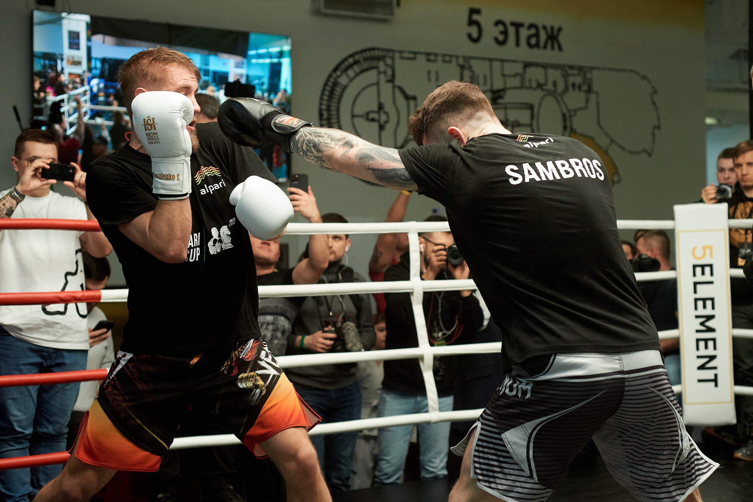 ШахБокс. Reportage event photographer in Moscow Alexander Gladkiy