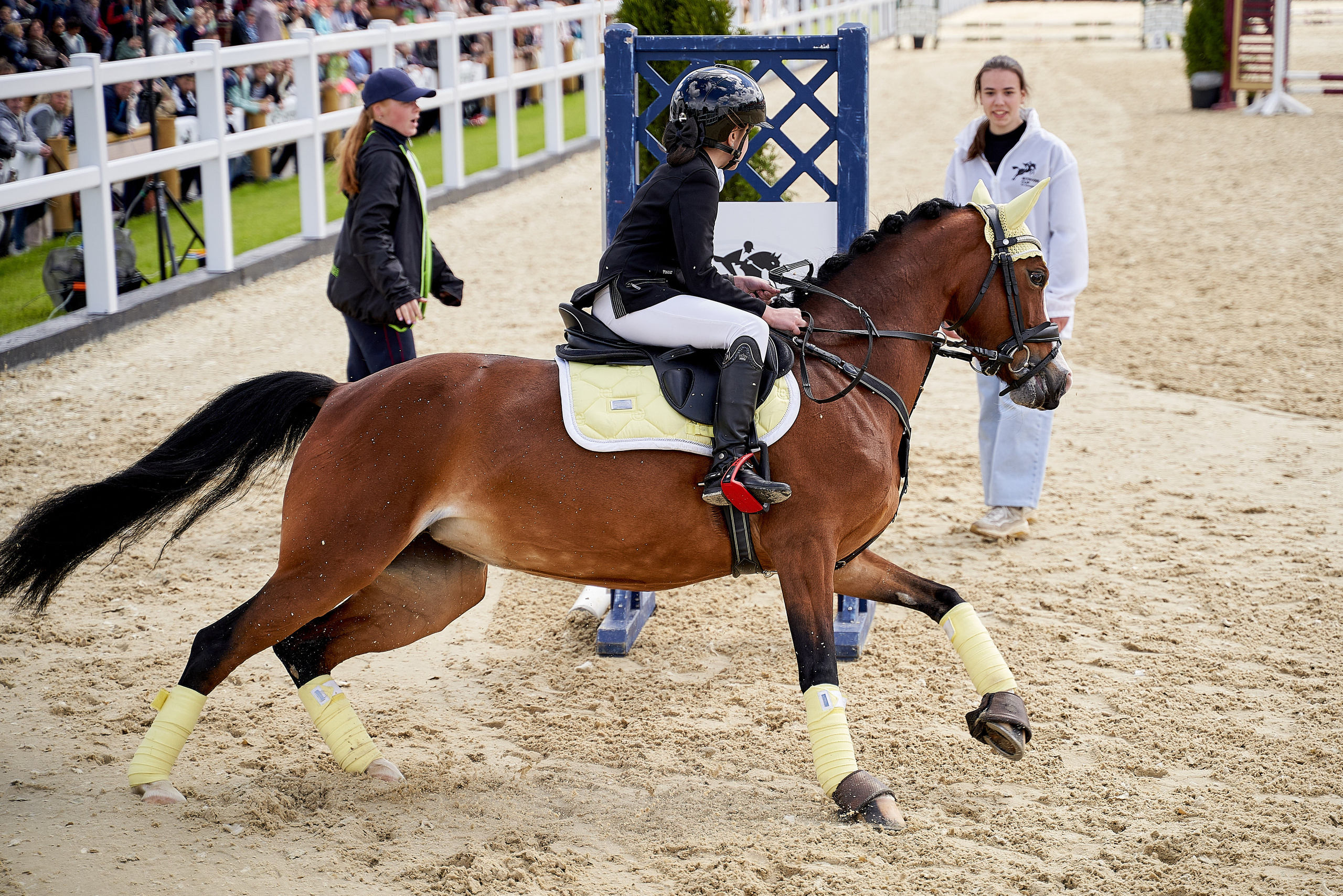 Кубок BitRiver по конкуру 2022. Reportage event photographer in Moscow Alexander Gladkiy