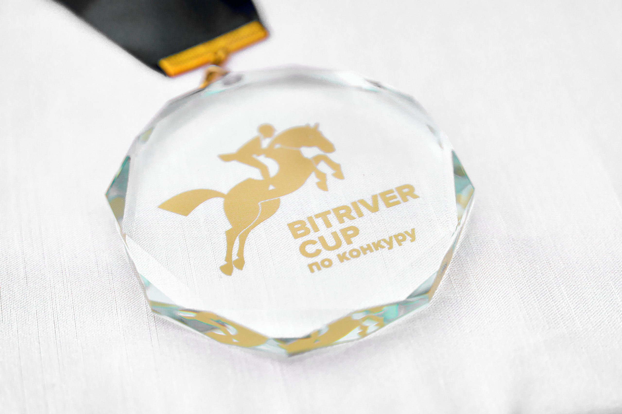 Кубок BitRiver по конкуру 2022. Reportage event photographer in Moscow Alexander Gladkiy