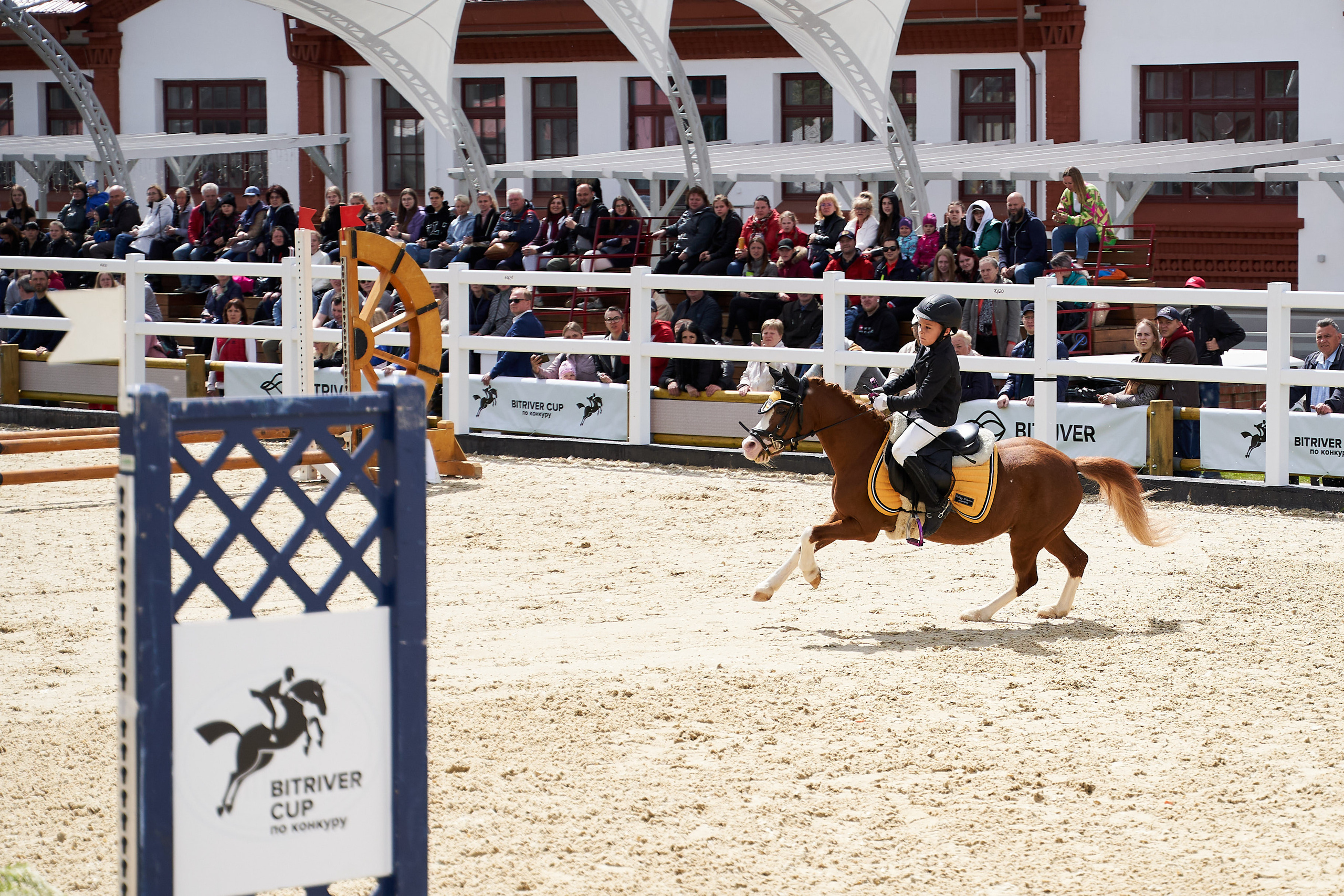 Кубок BitRiver по конкуру 2022. Reportage event photographer in Moscow Alexander Gladkiy
