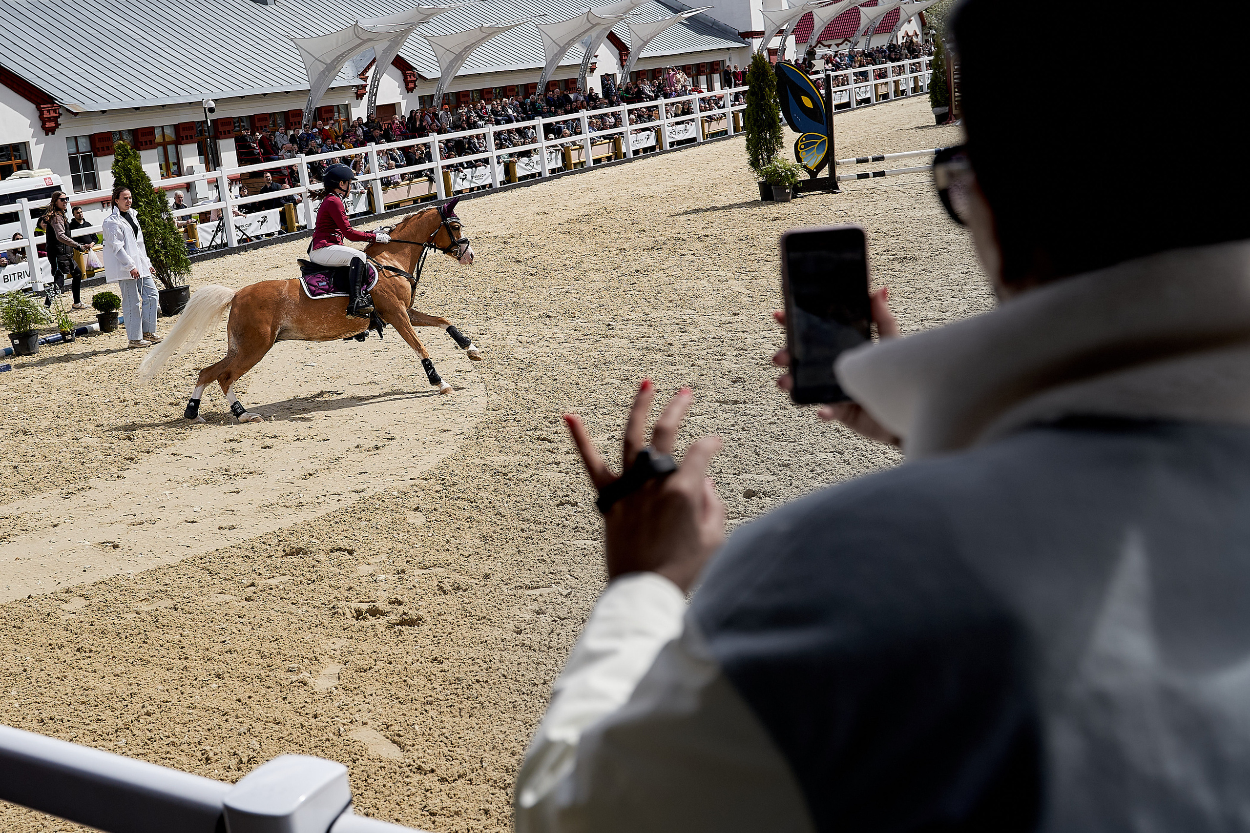 Кубок BitRiver по конкуру 2022. Reportage event photographer in Moscow Alexander Gladkiy