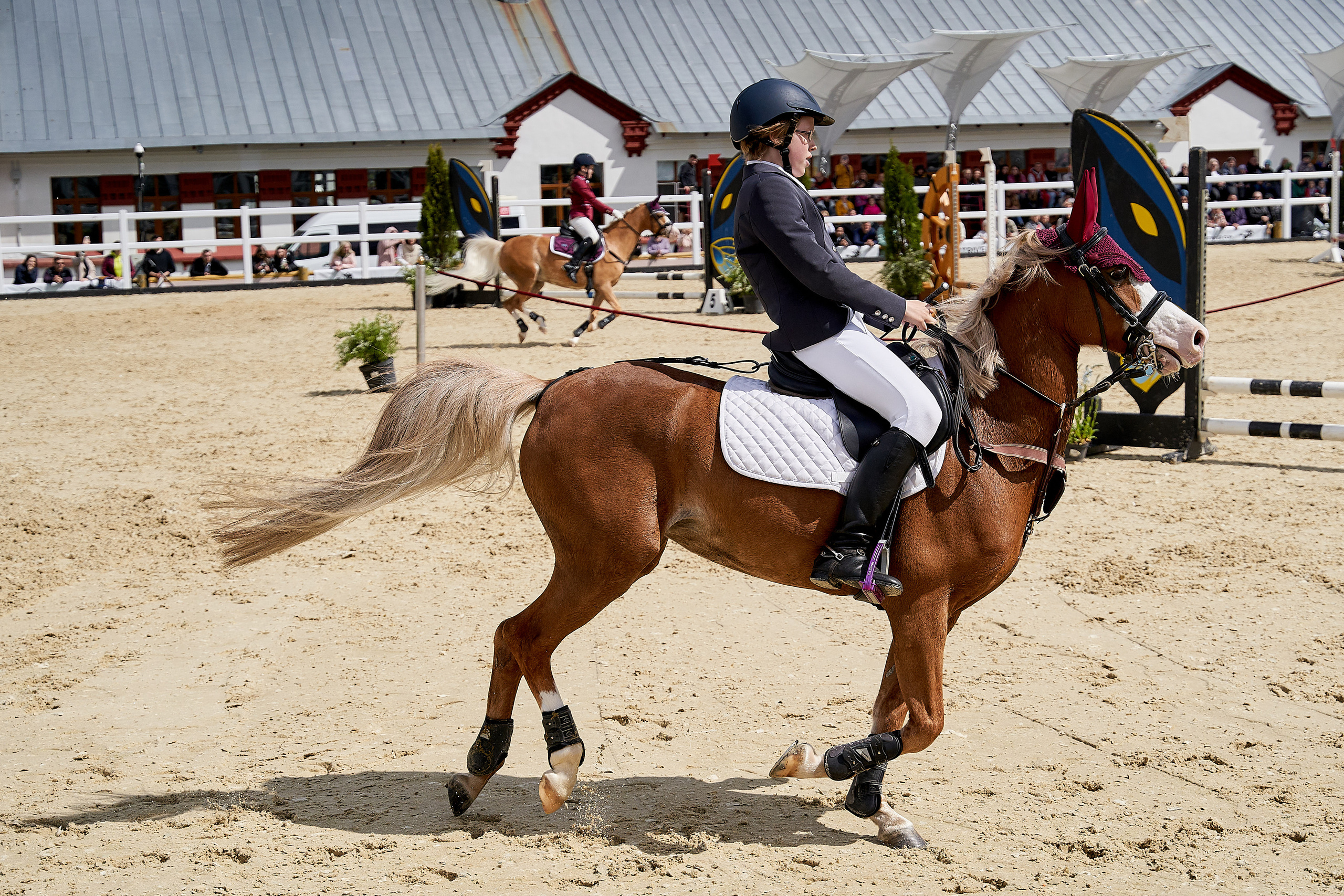 Кубок BitRiver по конкуру 2022. Reportage event photographer in Moscow Alexander Gladkiy