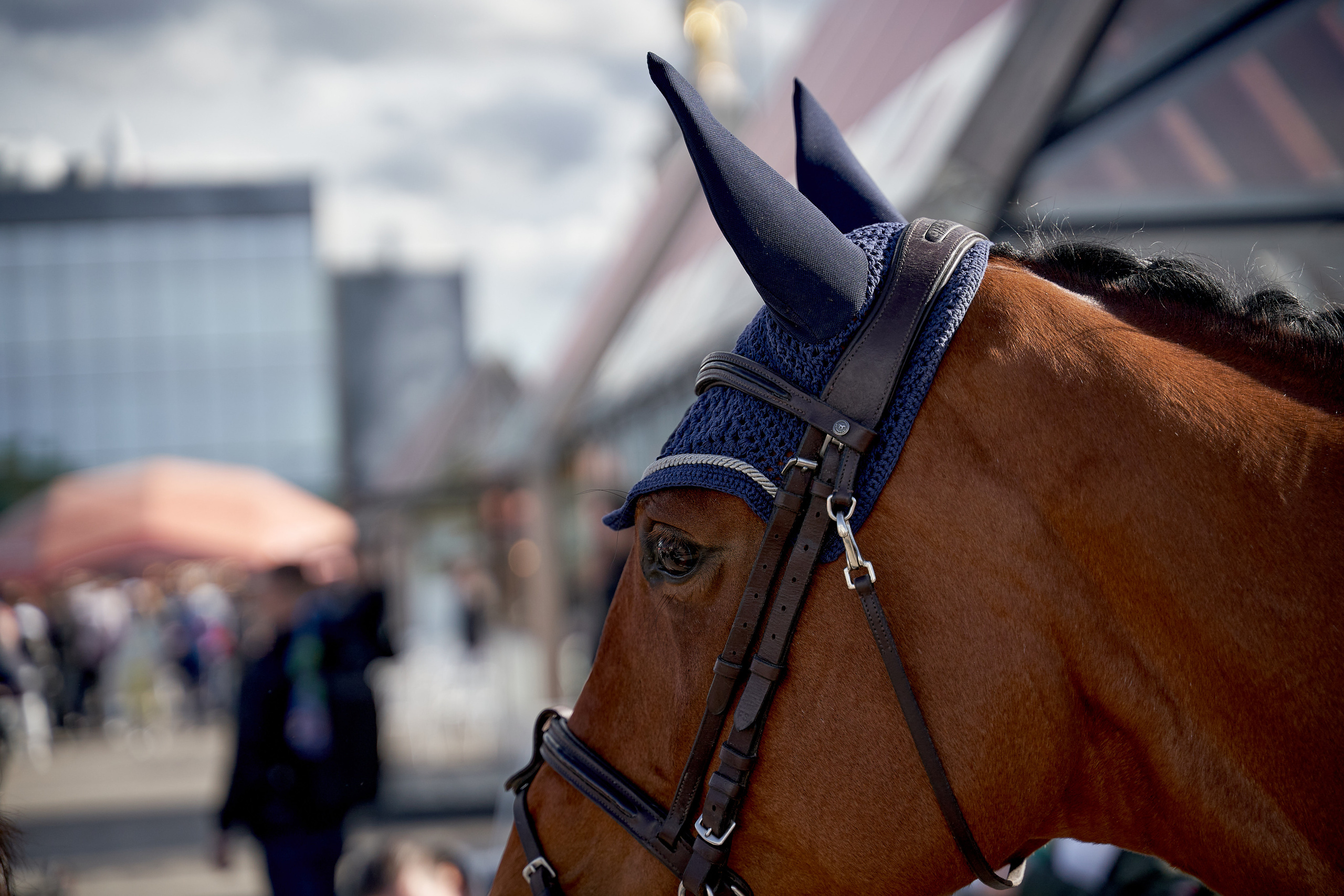 Кубок BitRiver по конкуру 2022. Reportage event photographer in Moscow Alexander Gladkiy